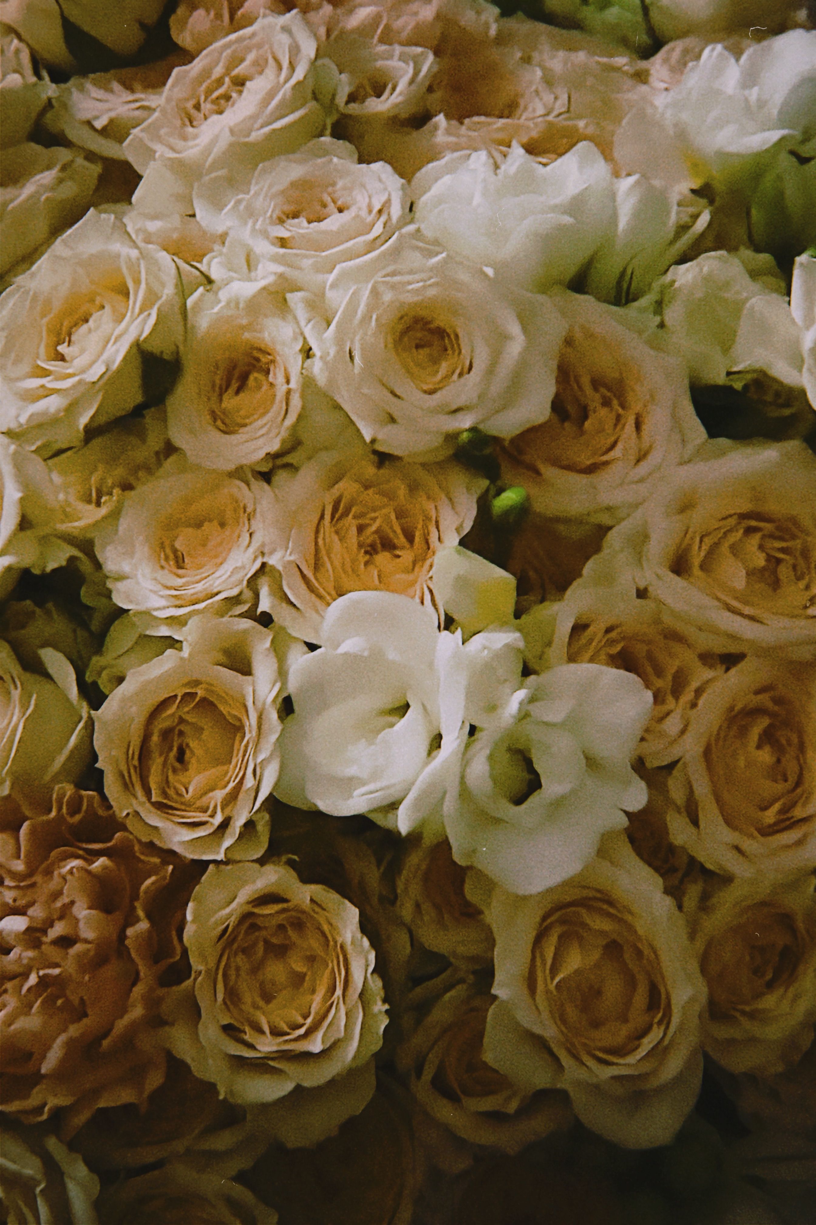 Elegant bouquet of pale roses and lisianthus