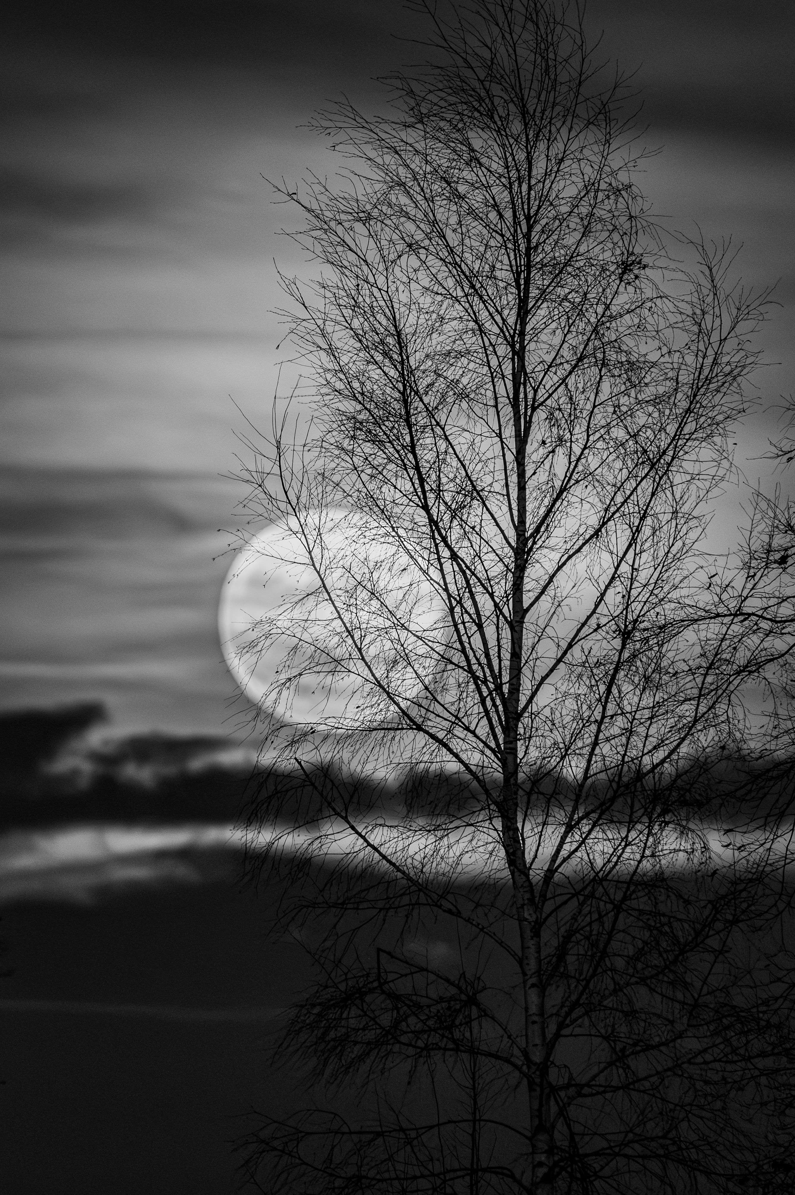 Moon Black And White Photos, Download The BEST Free Moon Black And ...