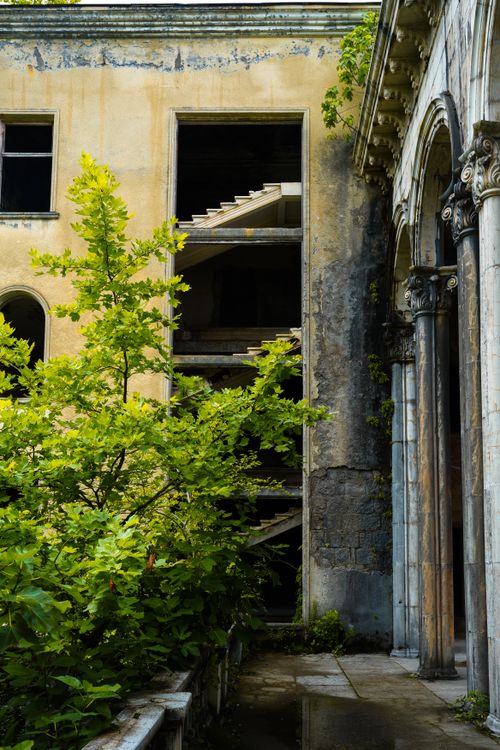 Free Explore the haunting beauty of an overgrown abandoned building in Tskaltubo, Georgia. Stock Photo