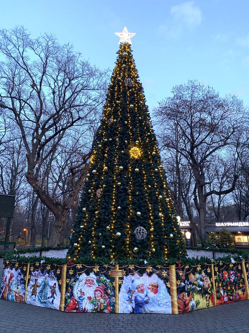 Free Tall Christmas tree adorned with lights and ornaments in a park setting. Stock Photo