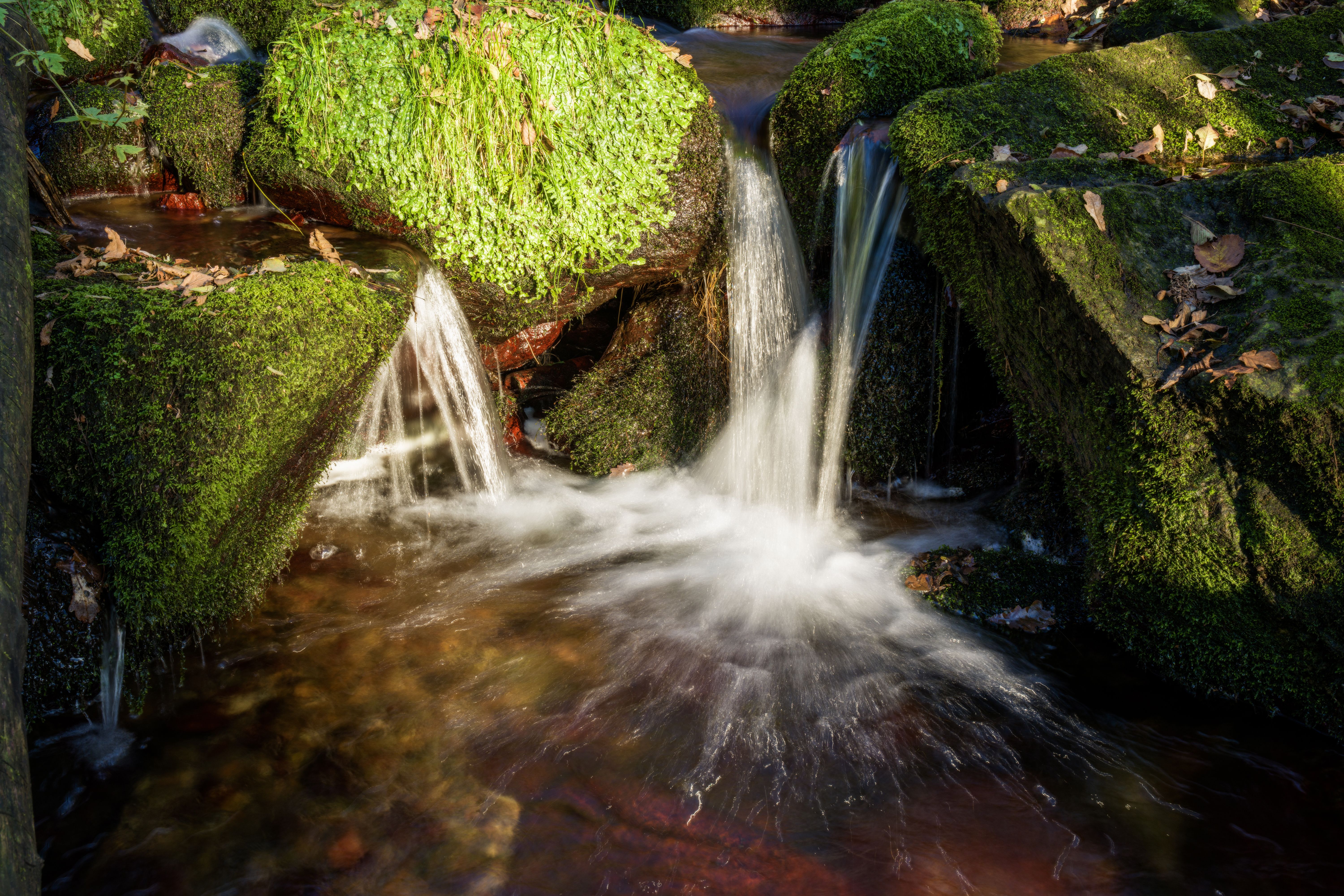 Serene Forest Waterfall with Mossy Rocks · Free Stock Photo