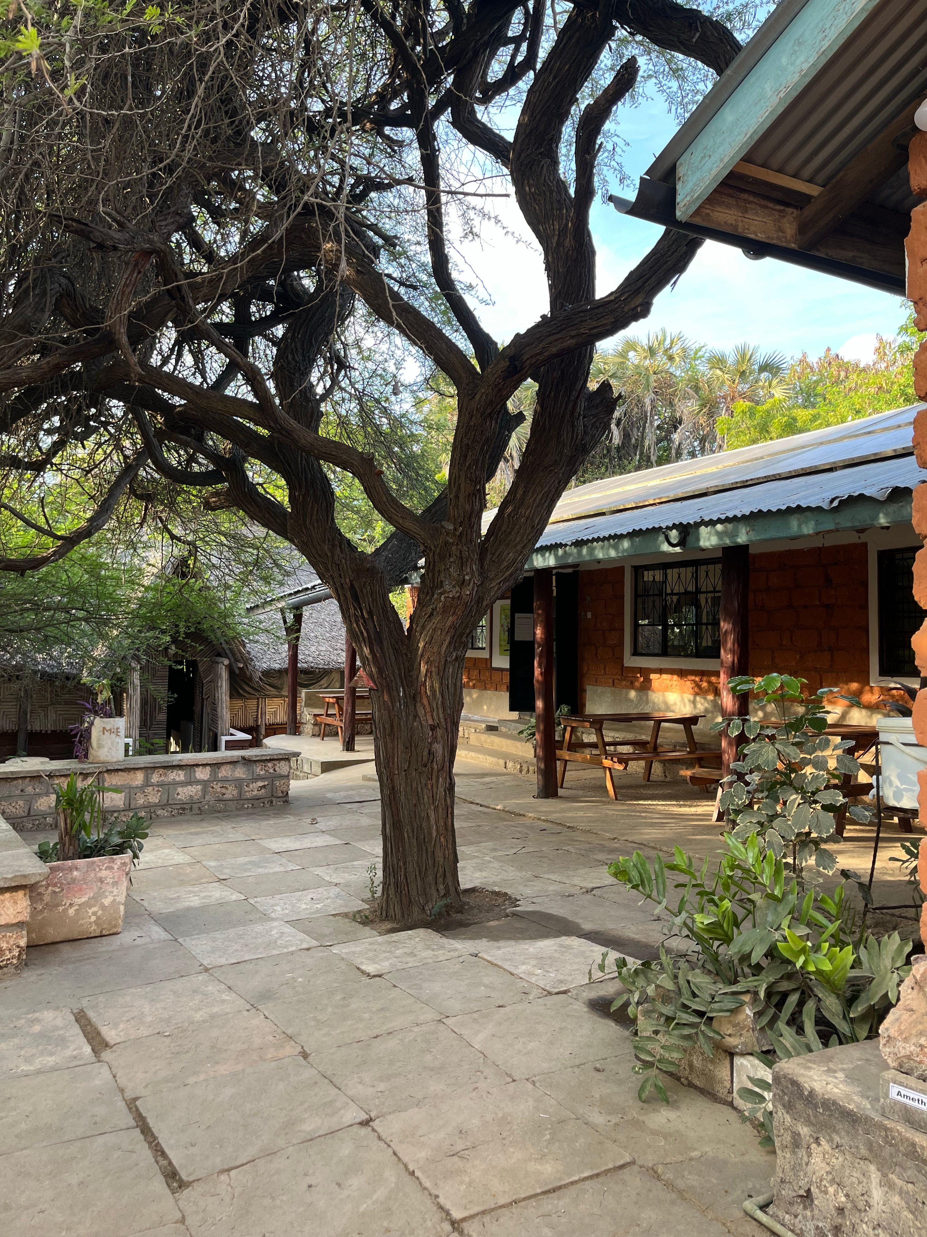 The courtyard in morning sun