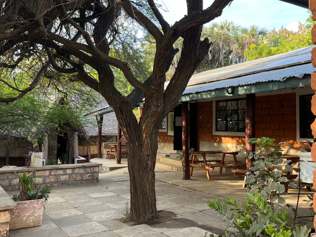 The courtyard in morning sun