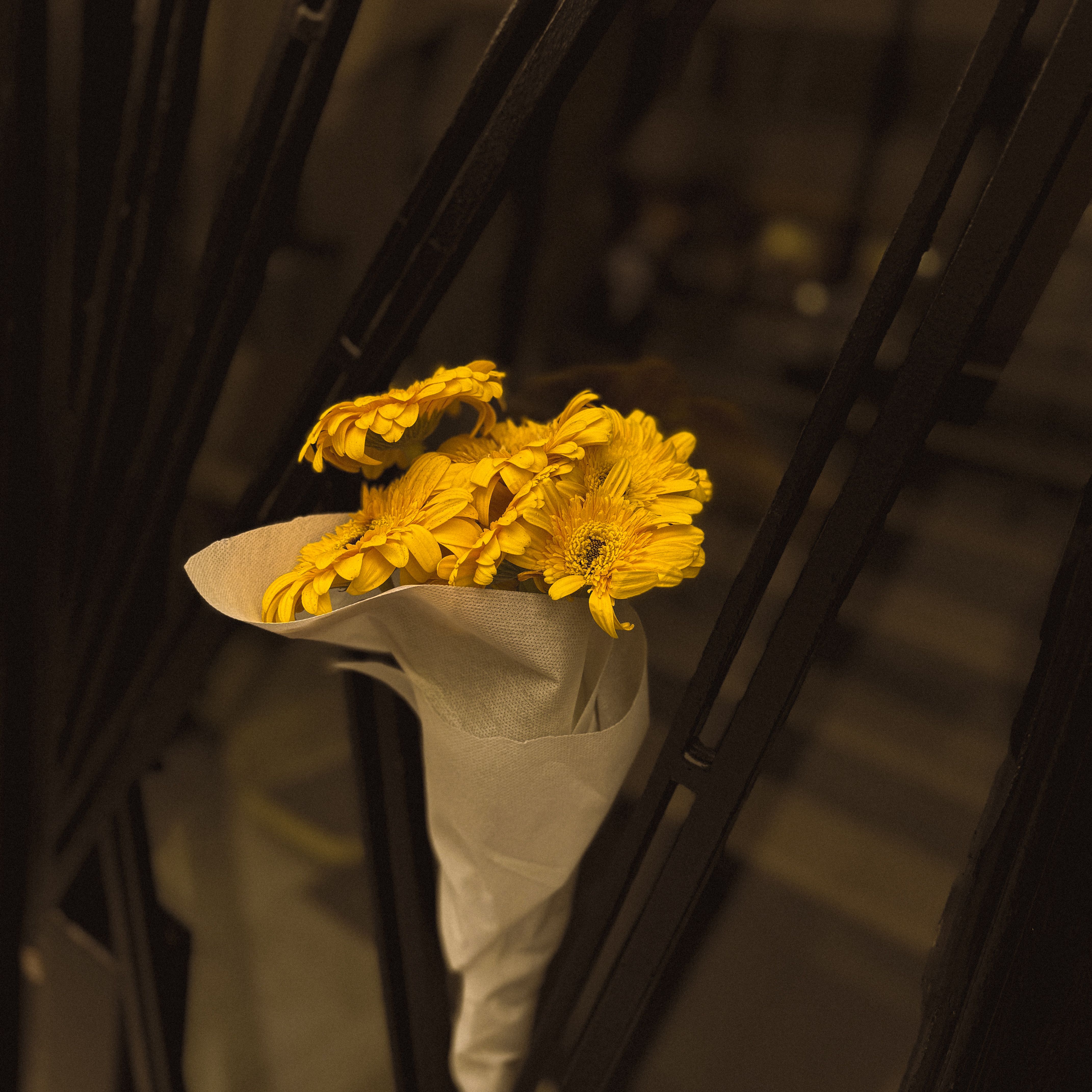 A bouquet of bright yellow flowers wrapped in paper resting on a metal gate, urban ambiance.