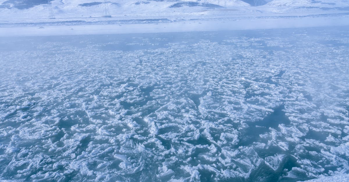 國際:全球多國聚焦氣候變遷峰會,推動綠色能源轉型新策略
