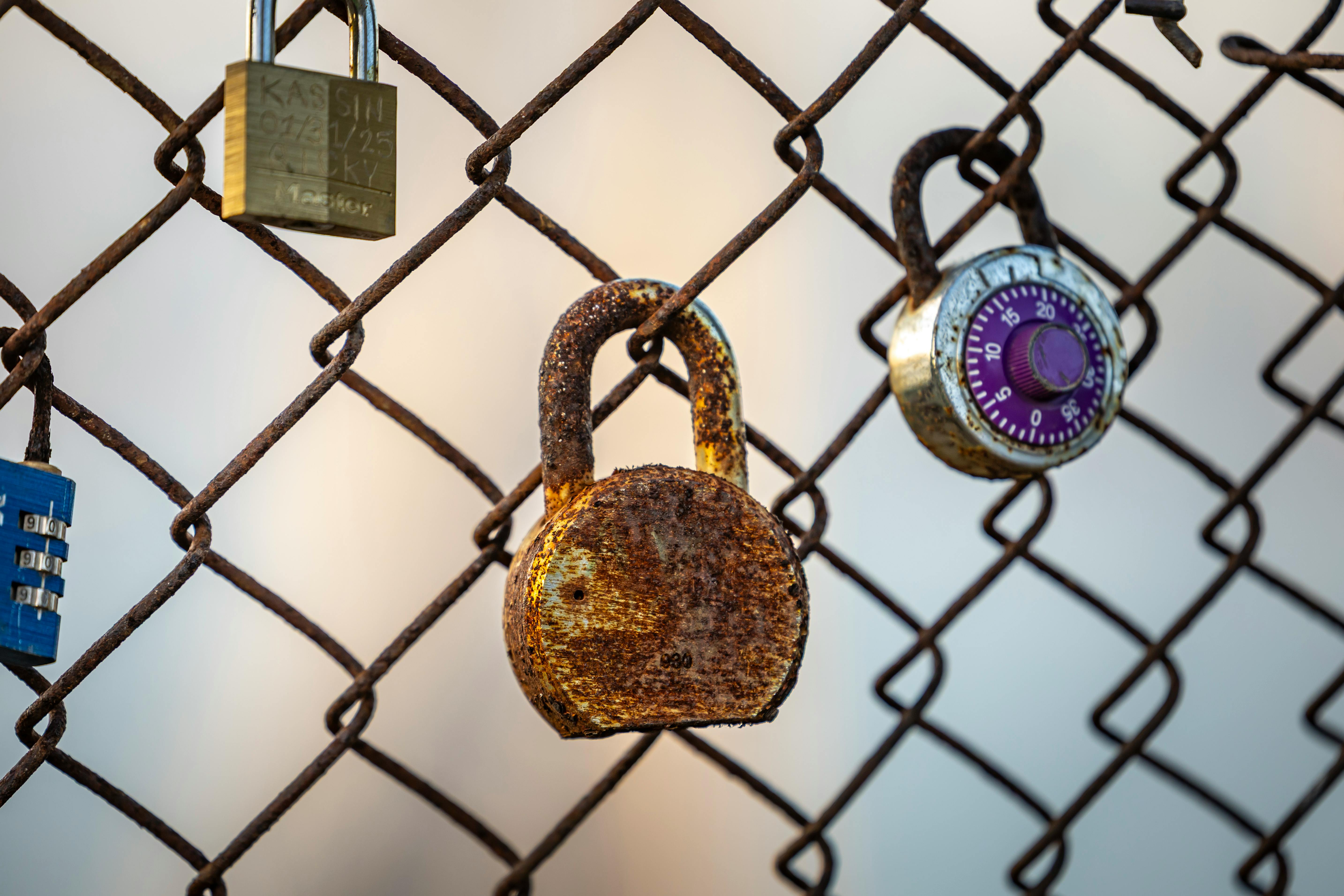 A close-up of a rusty padlock on a chain link fence with additional locks secured, symbolizing security.