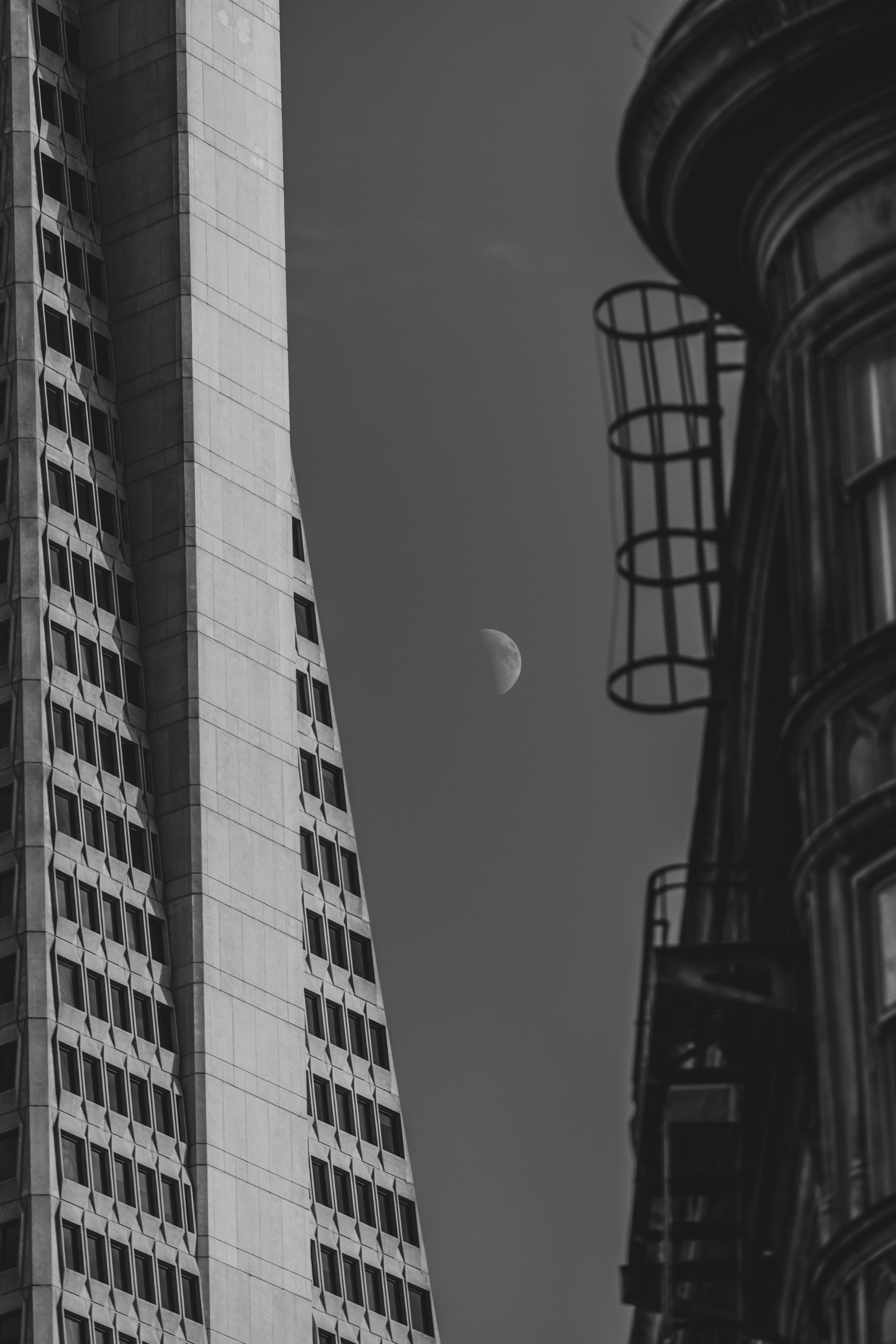 무료 하늘에 달이 보이는 도시 고층 빌딩의 흑백 이미지입니다. 스톡 사진