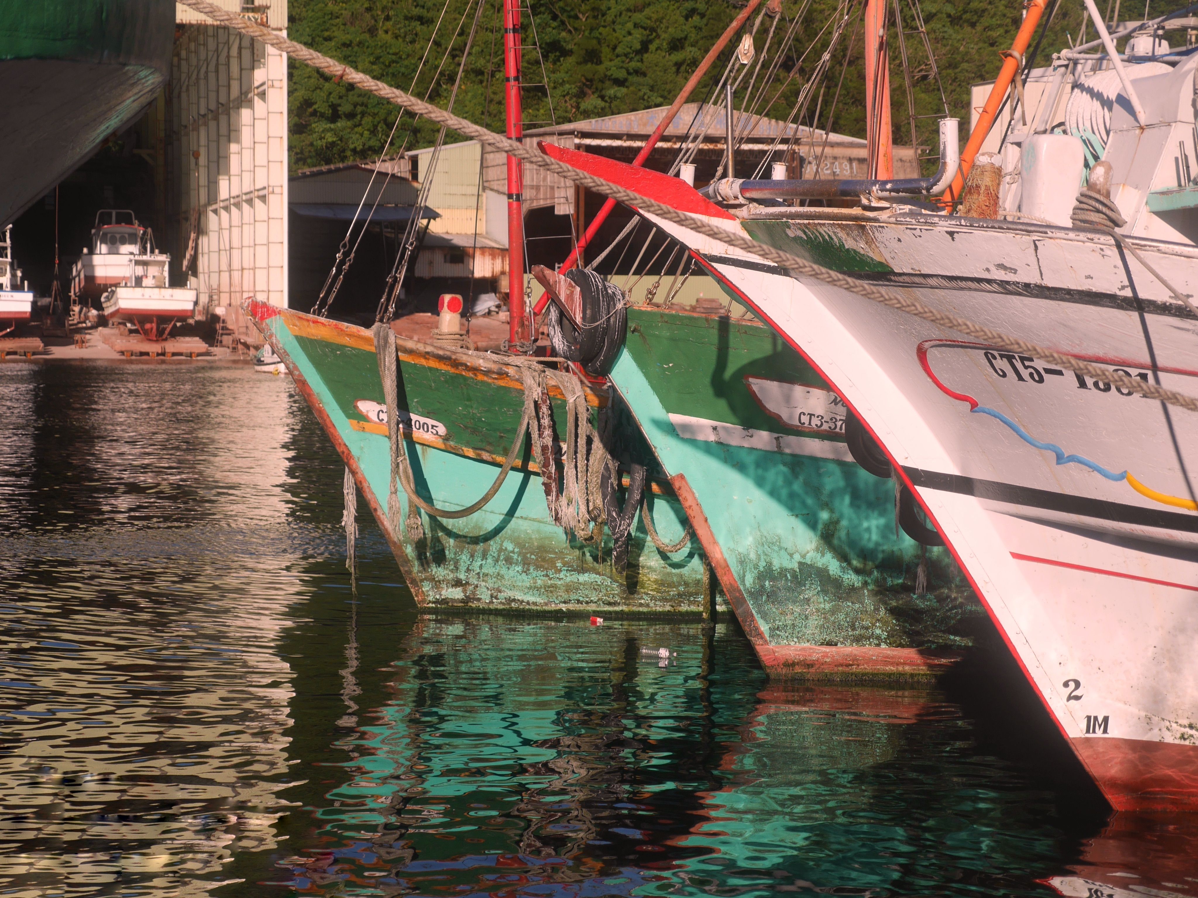 Colorful Boats in Tranquil Dock Setting · Free Stock Photo