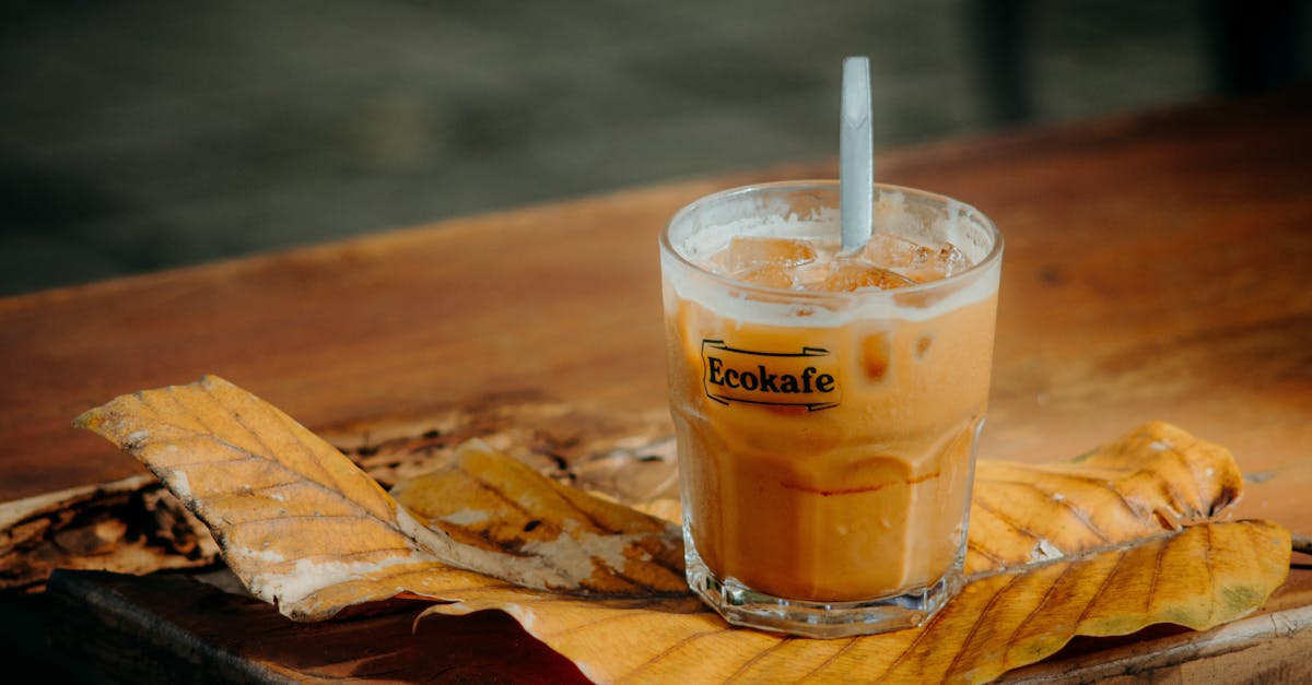 種子生活節推廣客家飲食與環境永續理念