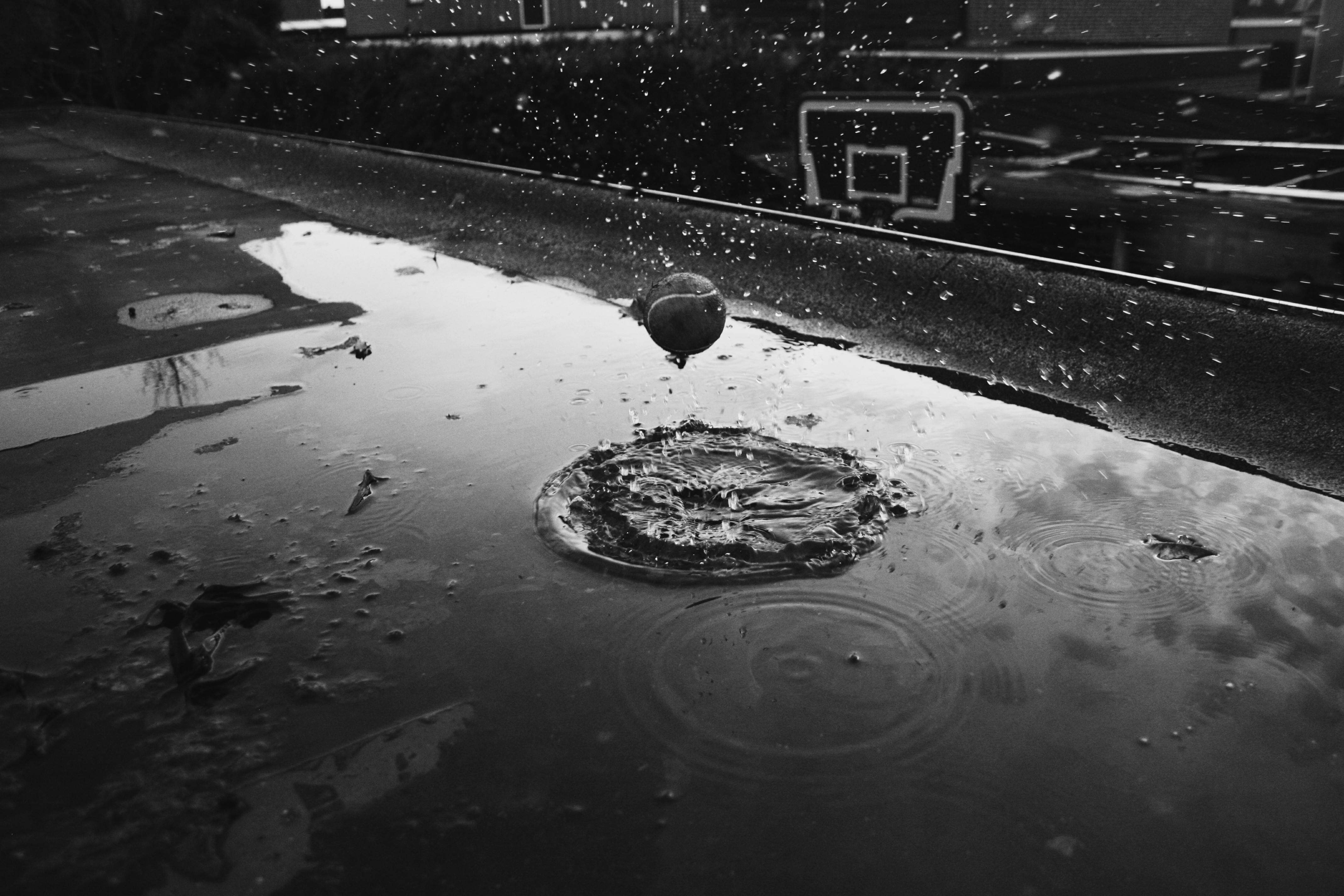 greyscale photo of body of water