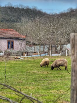 Image by Buket Ülkü