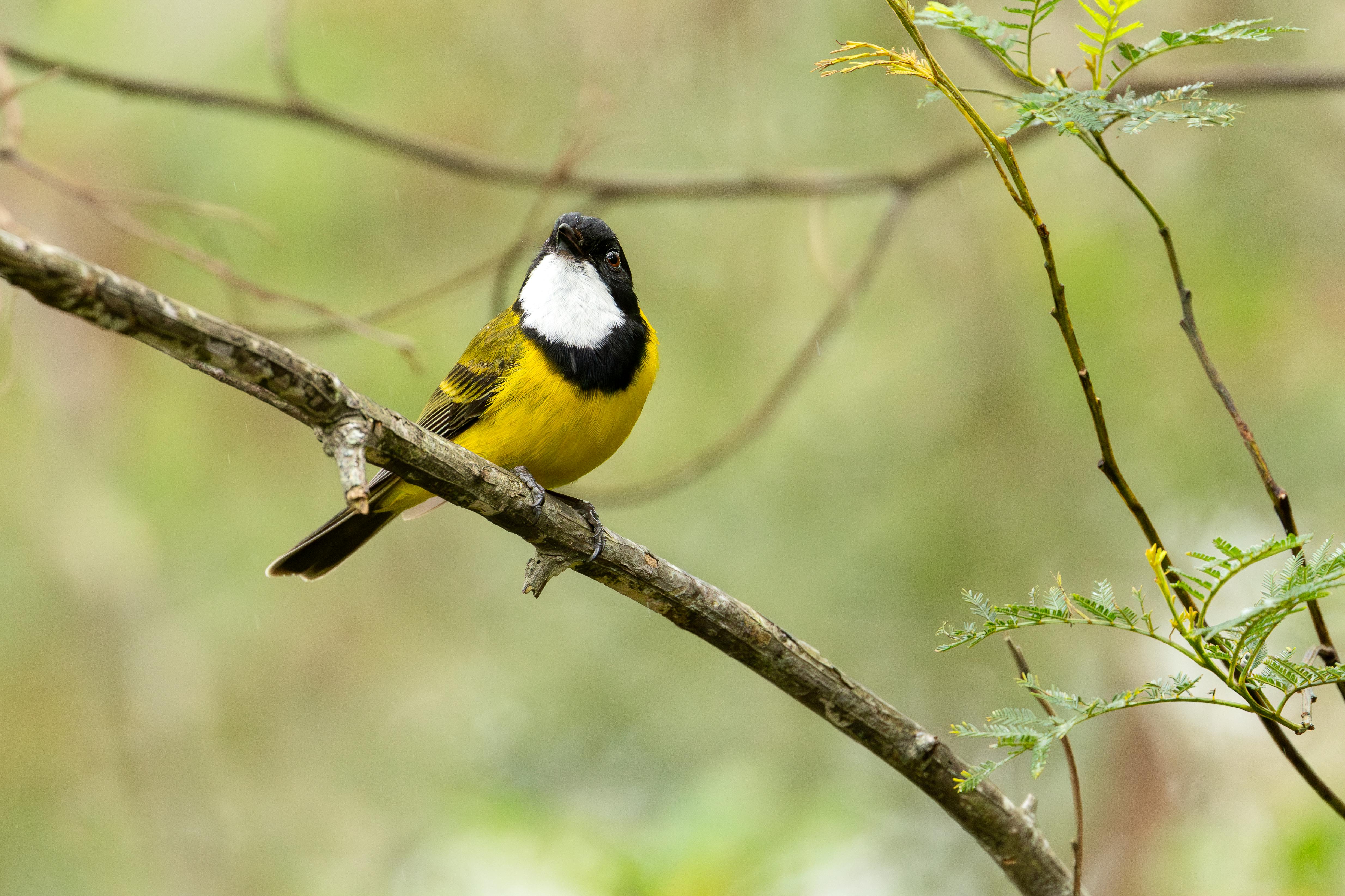 大千世界國際篇：探索全球重要時事與文化脈動
