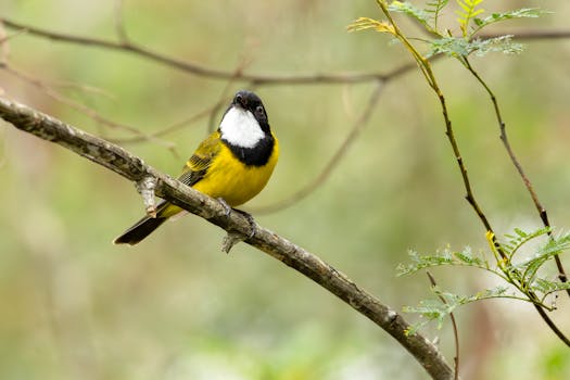 Photo by Stuart  Robinson