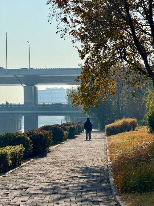 Free A solitary person strolls along a riverside path beneath an overpass on a bright autumn day. Stock Photo