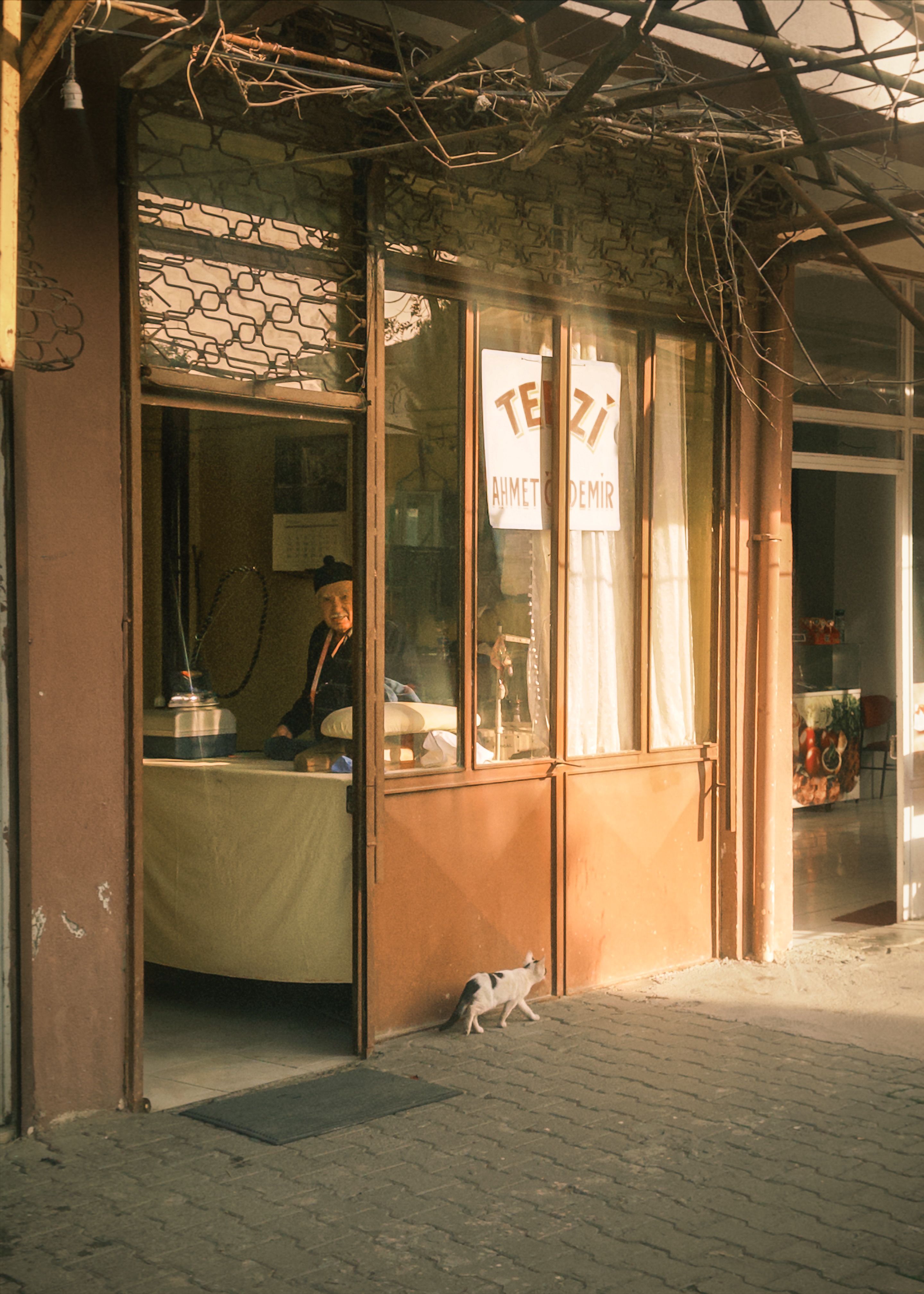 Charming vintage tailor shop with a cat on a sunny urban street corner.