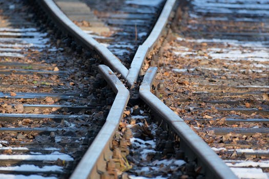 Close-up view of railway tracks merging, surrounded by autumn leaves and snow.