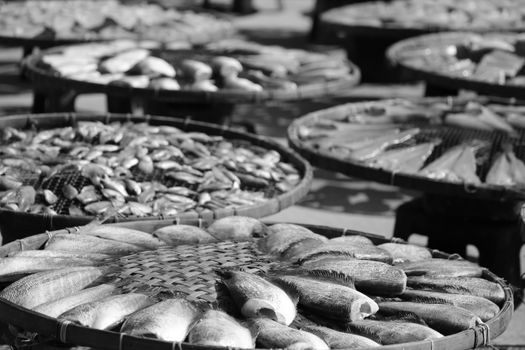 Monochrome scene of fish drying on baskets, depicting traditional methods.