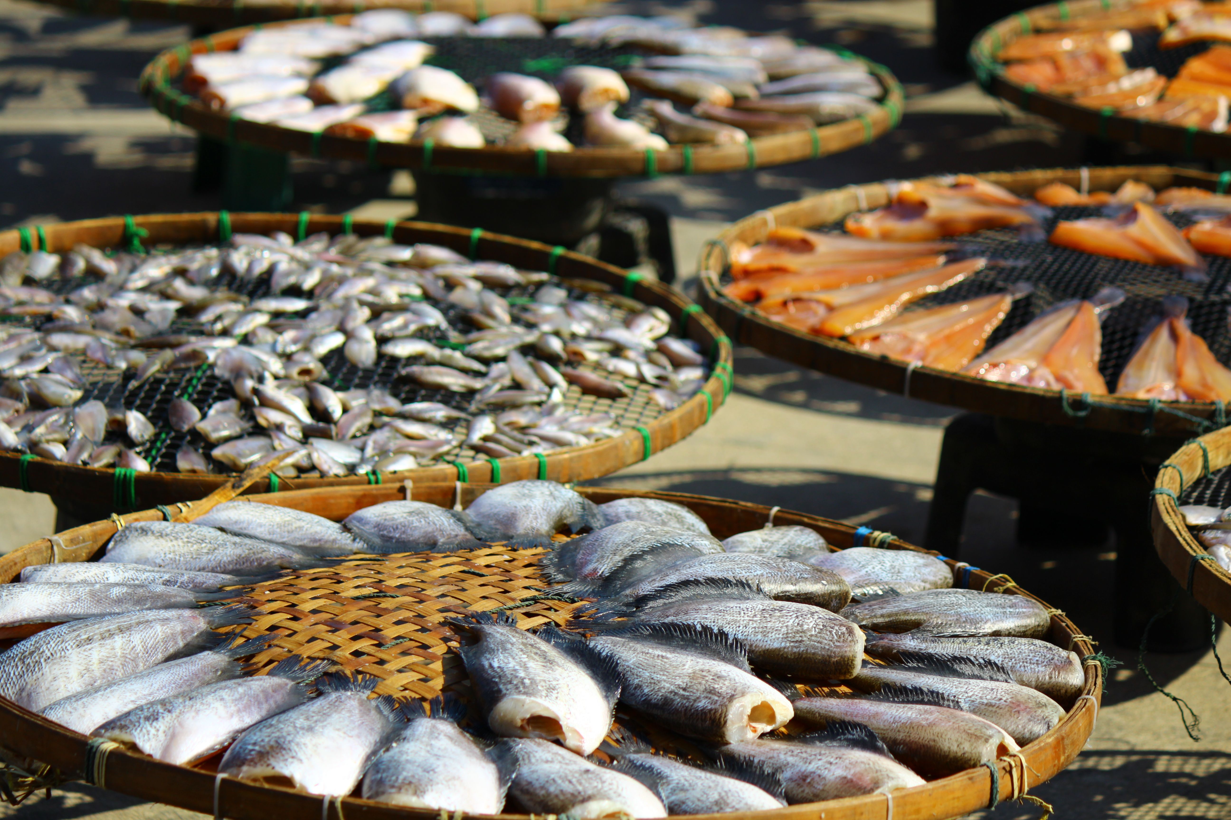 Various types of fish drying outdoors on bamboo trays under the sun.