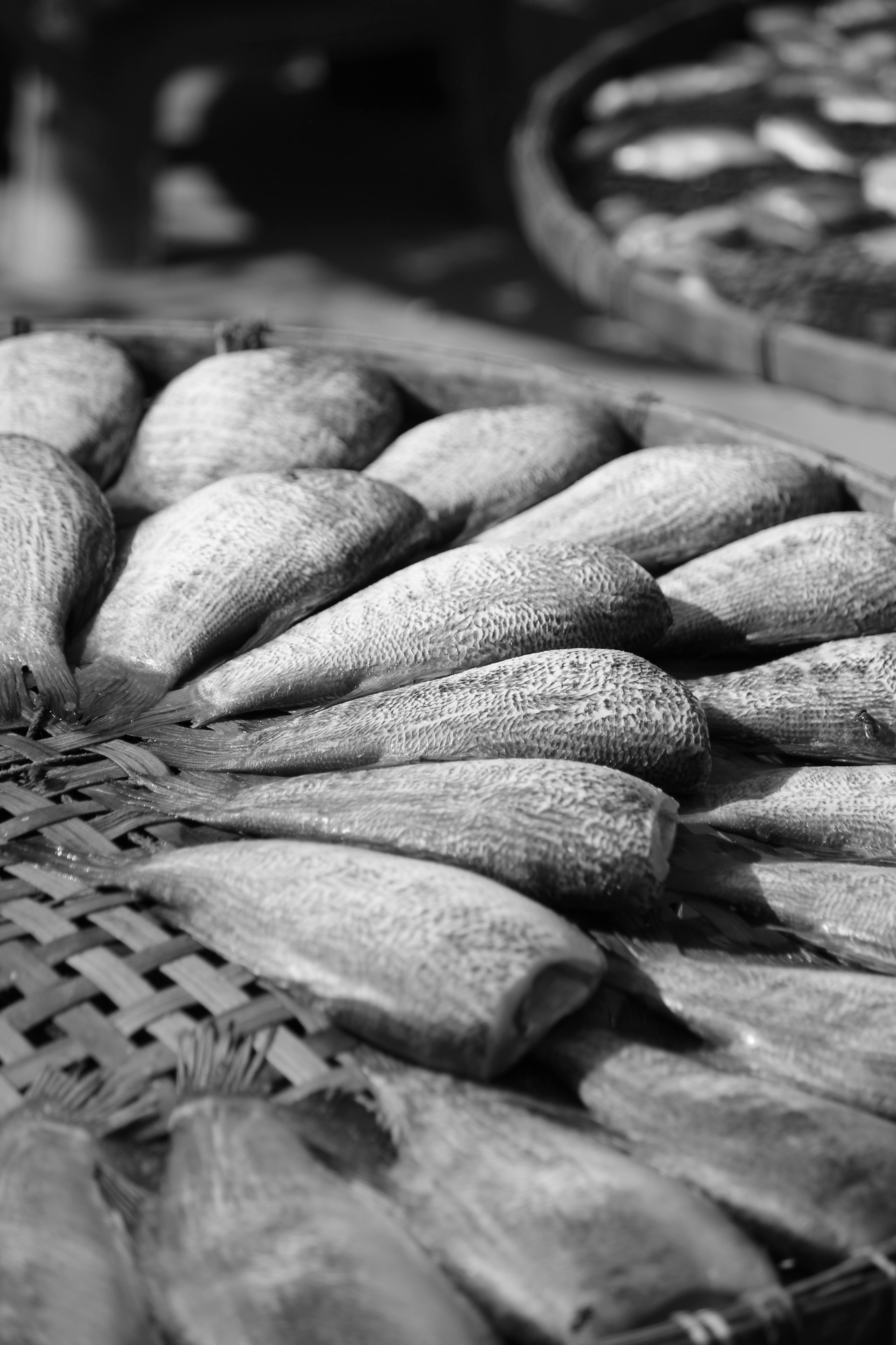 Free Methods Photos, Download The BEST Free Free Methods Stock Photos ...