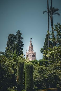 Scenic view of La Giralda tower surrounded by lush greenery in Seville, Spain.