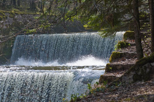 Peaceful forest waterfall cascading into a serene pool with lush greenery, perfect for nature enthusiasts and tranquil settings.