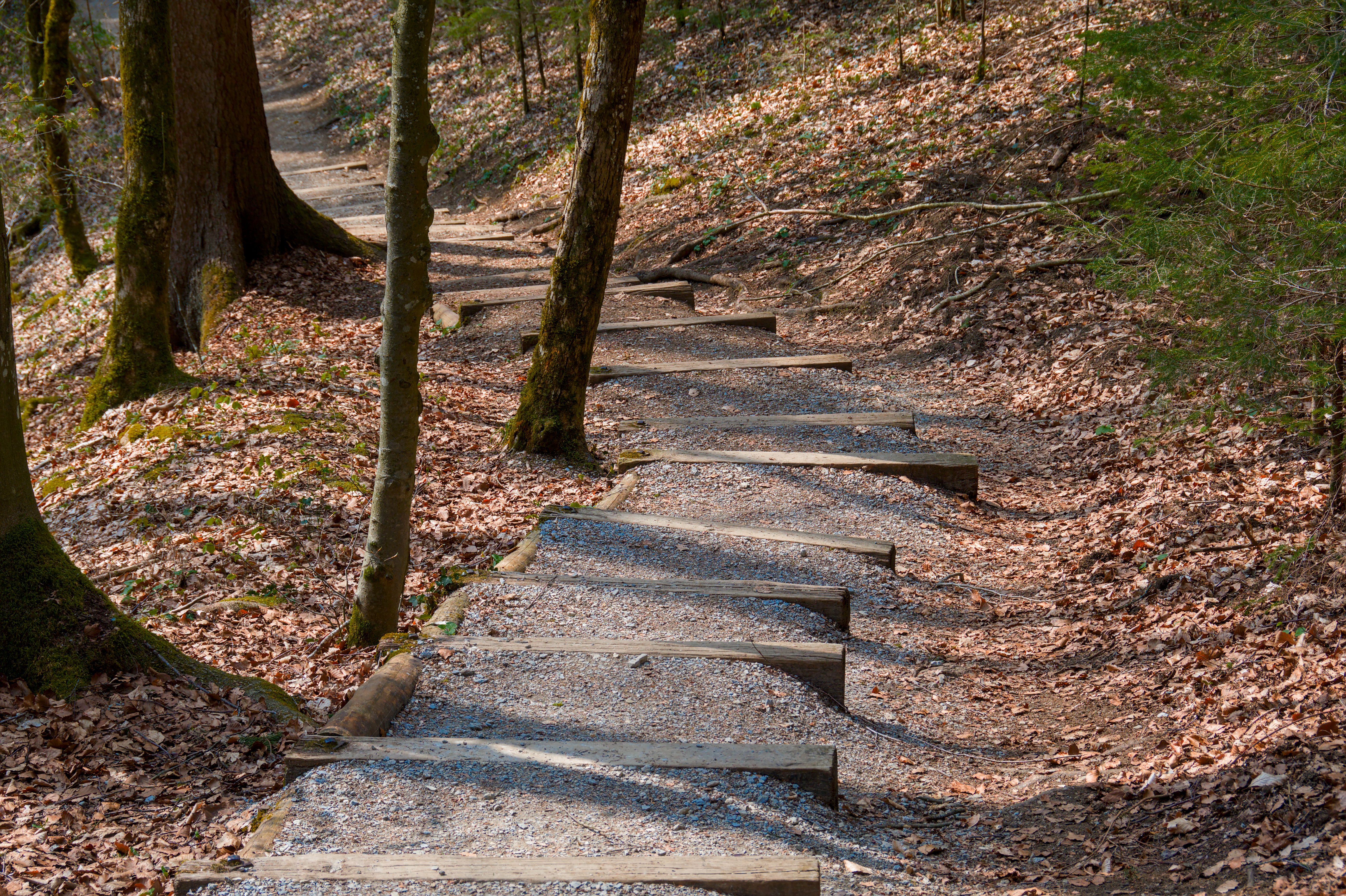Leaving the niche: Seven steps for a successful go-to-market model for electric vehicles — Photo by Jean-Paul Wettstein on Pe