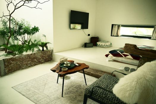 Stylish minimalist bedroom interior featuring a lush indoor garden and cozy decor.