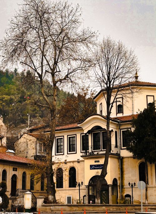 Free Elegant Ottoman-style building surrounded by bare trees, capturing winter's charm. Stock Photo