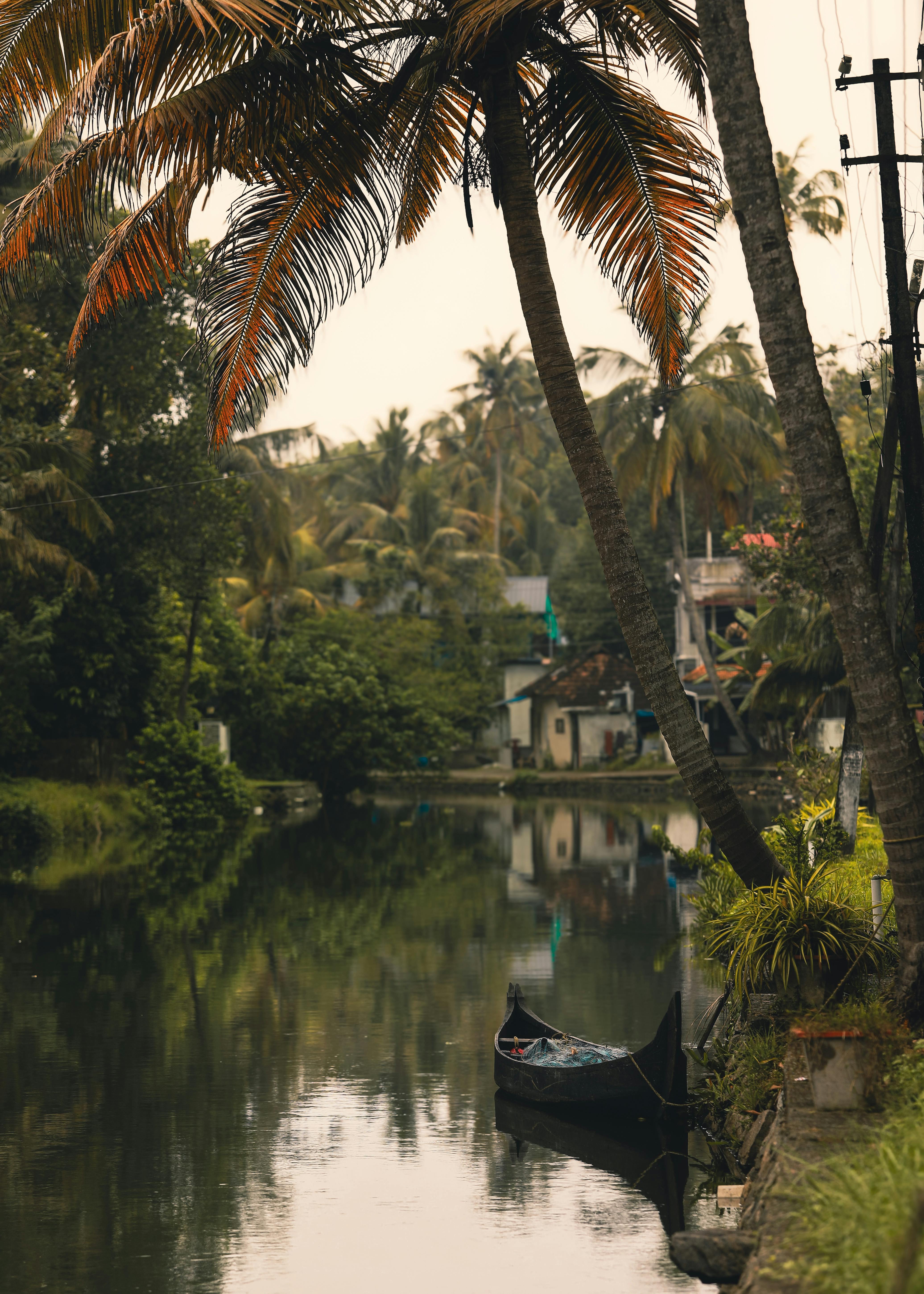 Kerala Backwaters & Munnar Classic