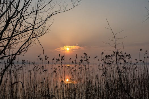 A tranquil sunset over a calm lake framed by reeds and bare branches.
