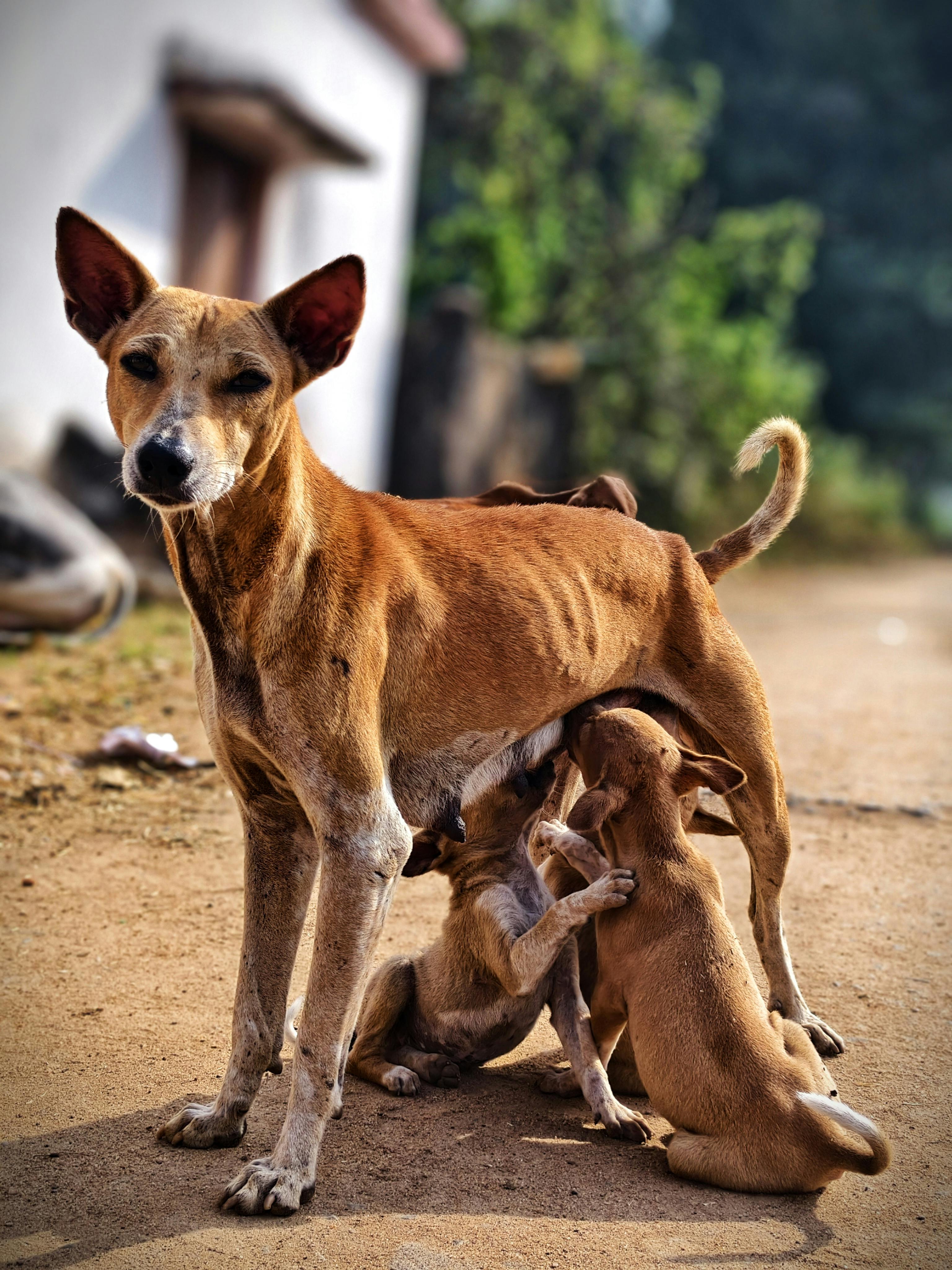 A mother's love is the same in any language ❤️