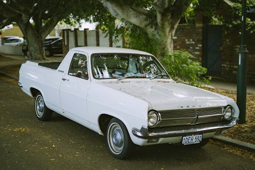 Classic white pickup truck parked under trees in urban Perth, Australia street.