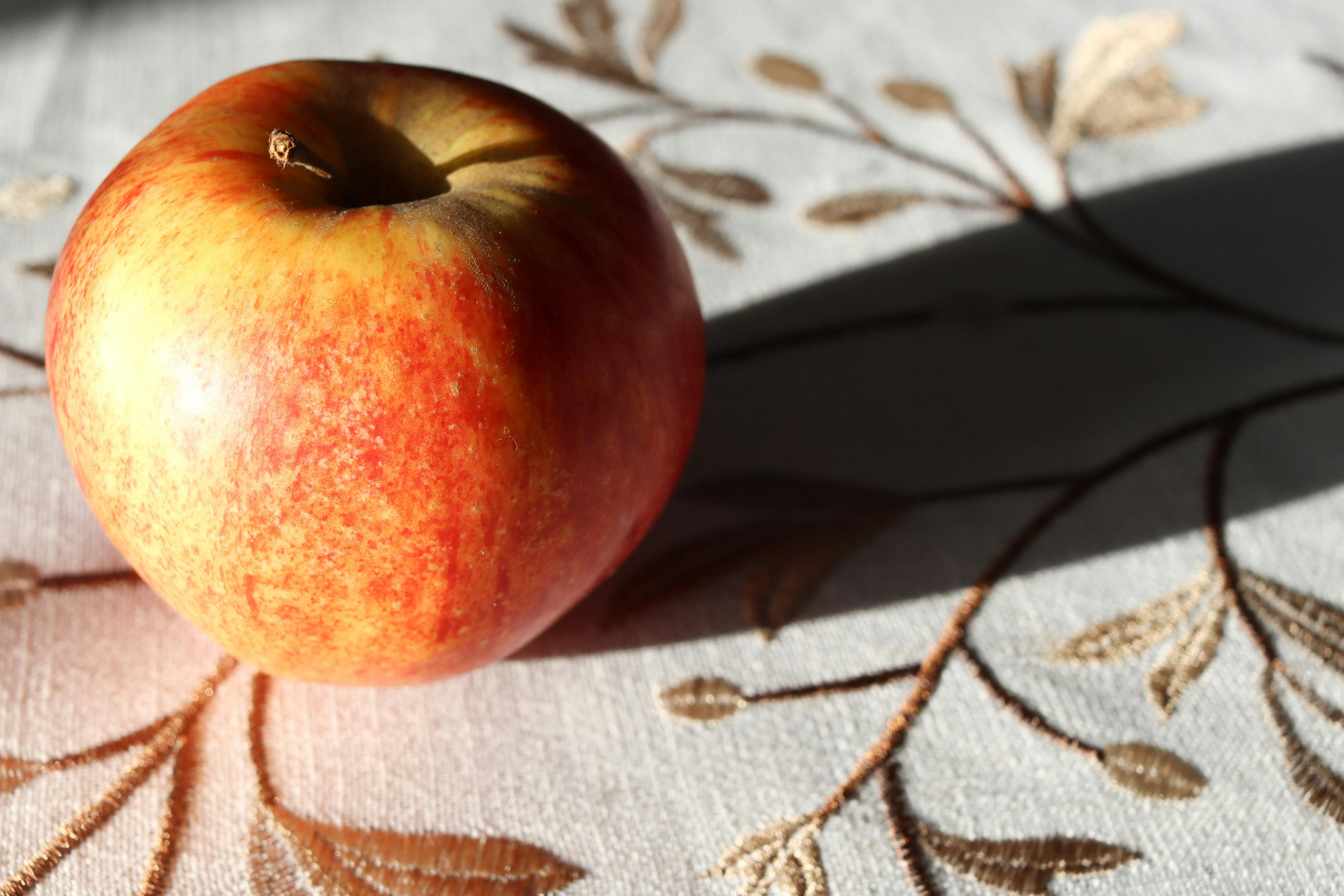 Nutrition Journal Publishes Apple Cider Vinegar Weight Loss Recipe From 12 Week Study [KTwwDhcO2aV] — Photo by Andréa Devilli