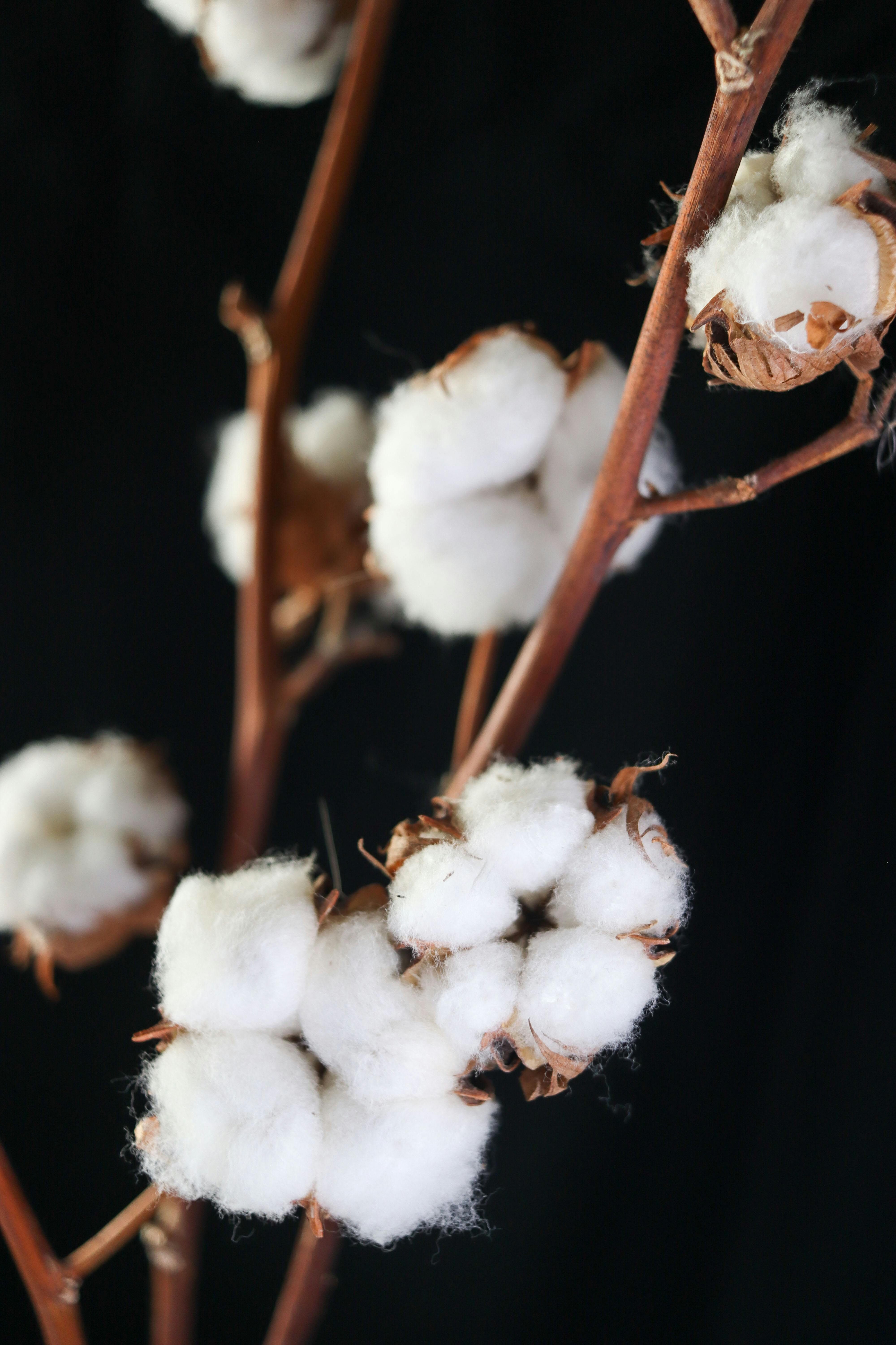 면 섬유 수축 예시 이미지