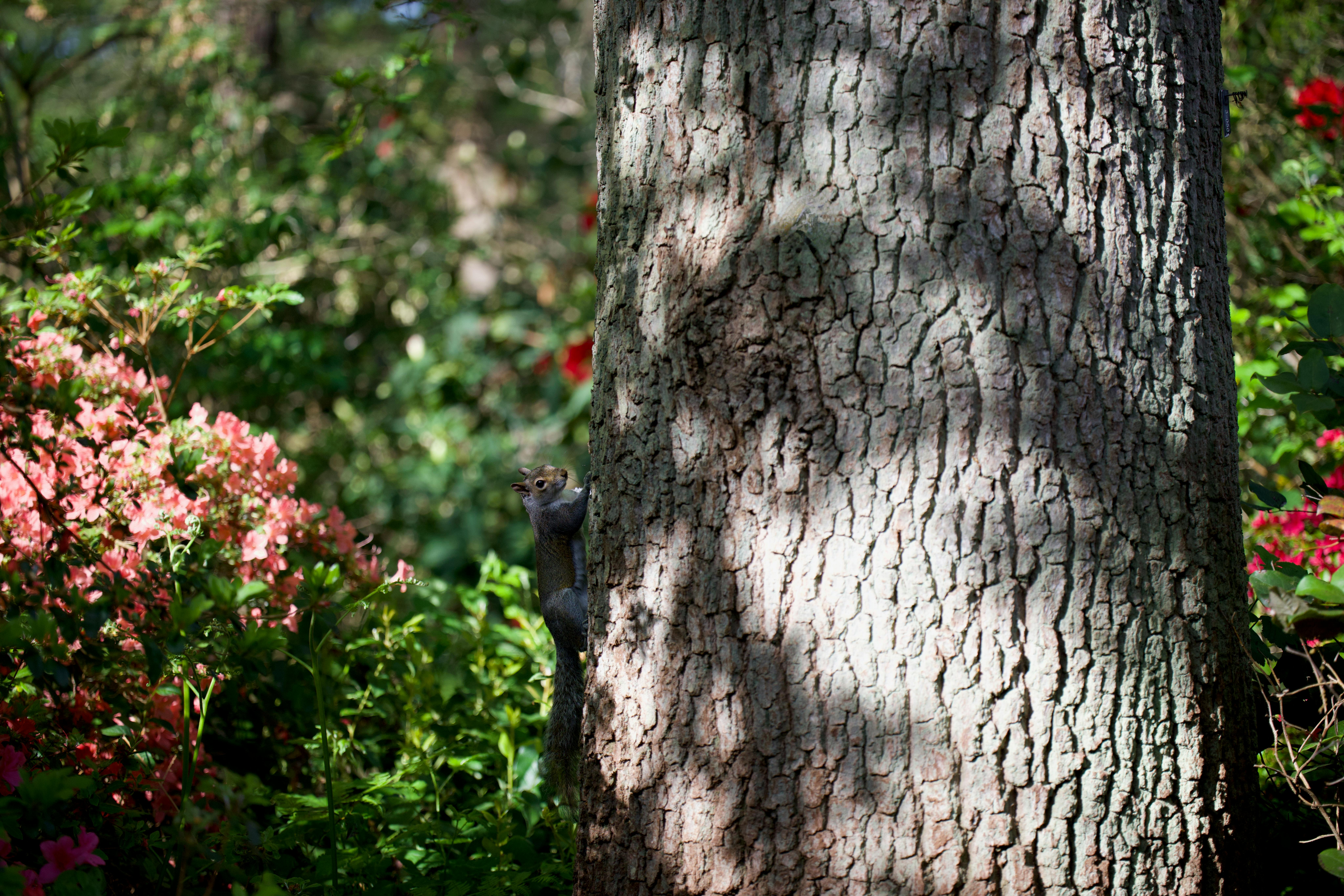 種子生活節推廣客家飲食與環境永續理念