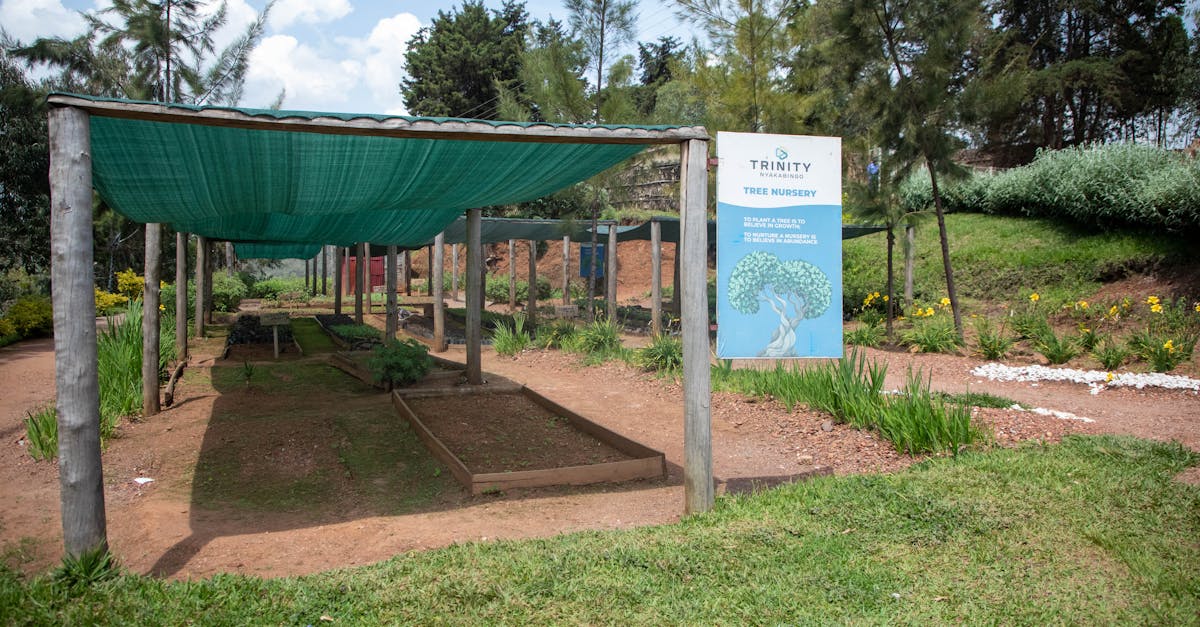 僑光主辦SGIoT 2025國際研討會 助力台灣物聯網接軌全球