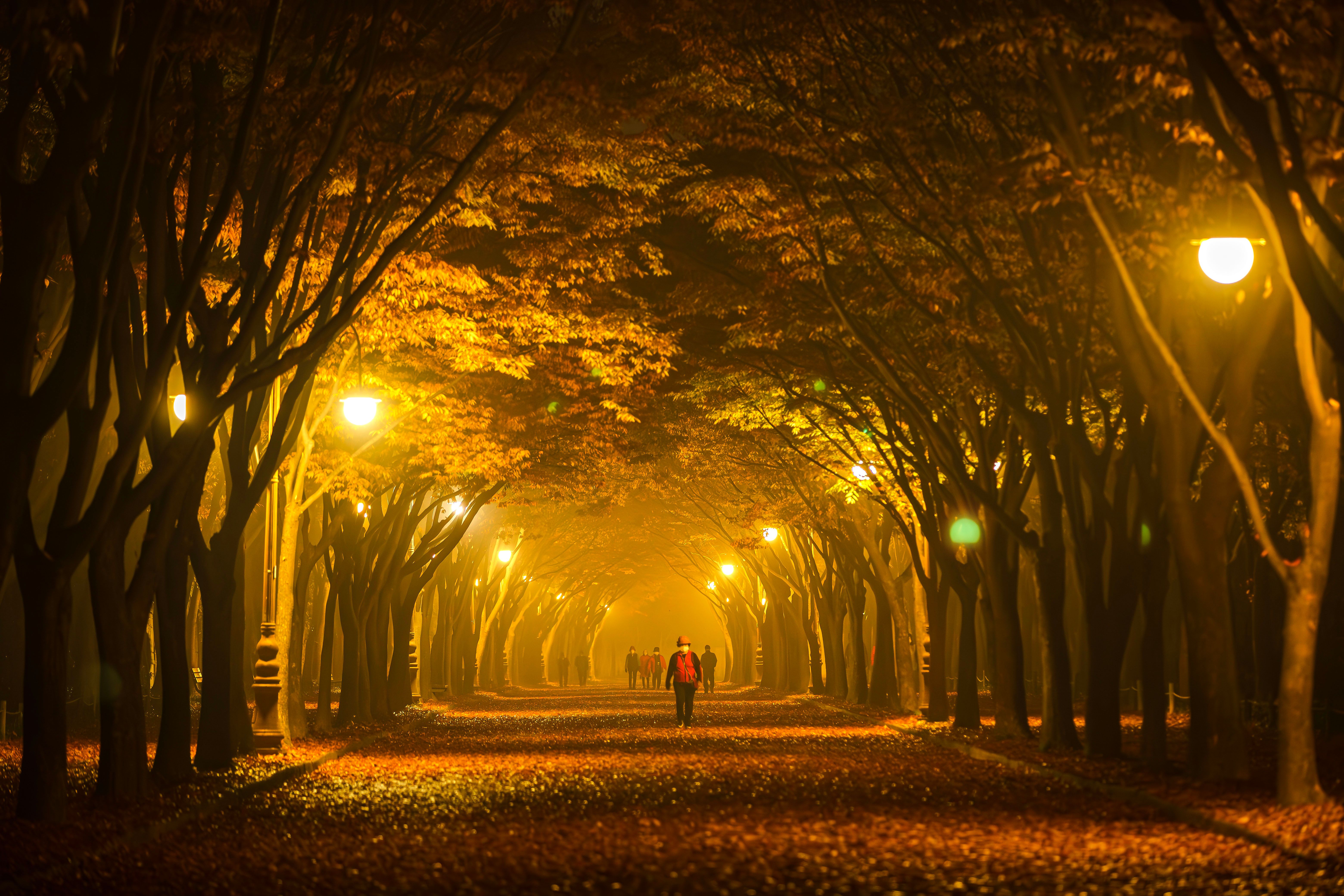 Central Park walking