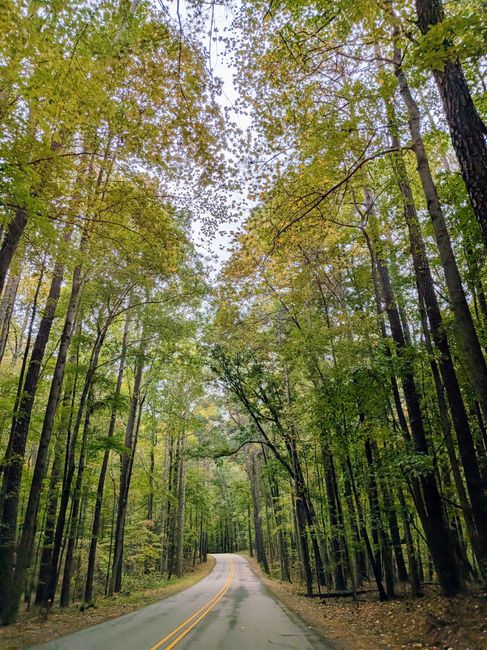Drive the Natchez Trace Parkway things to do in columbia tn