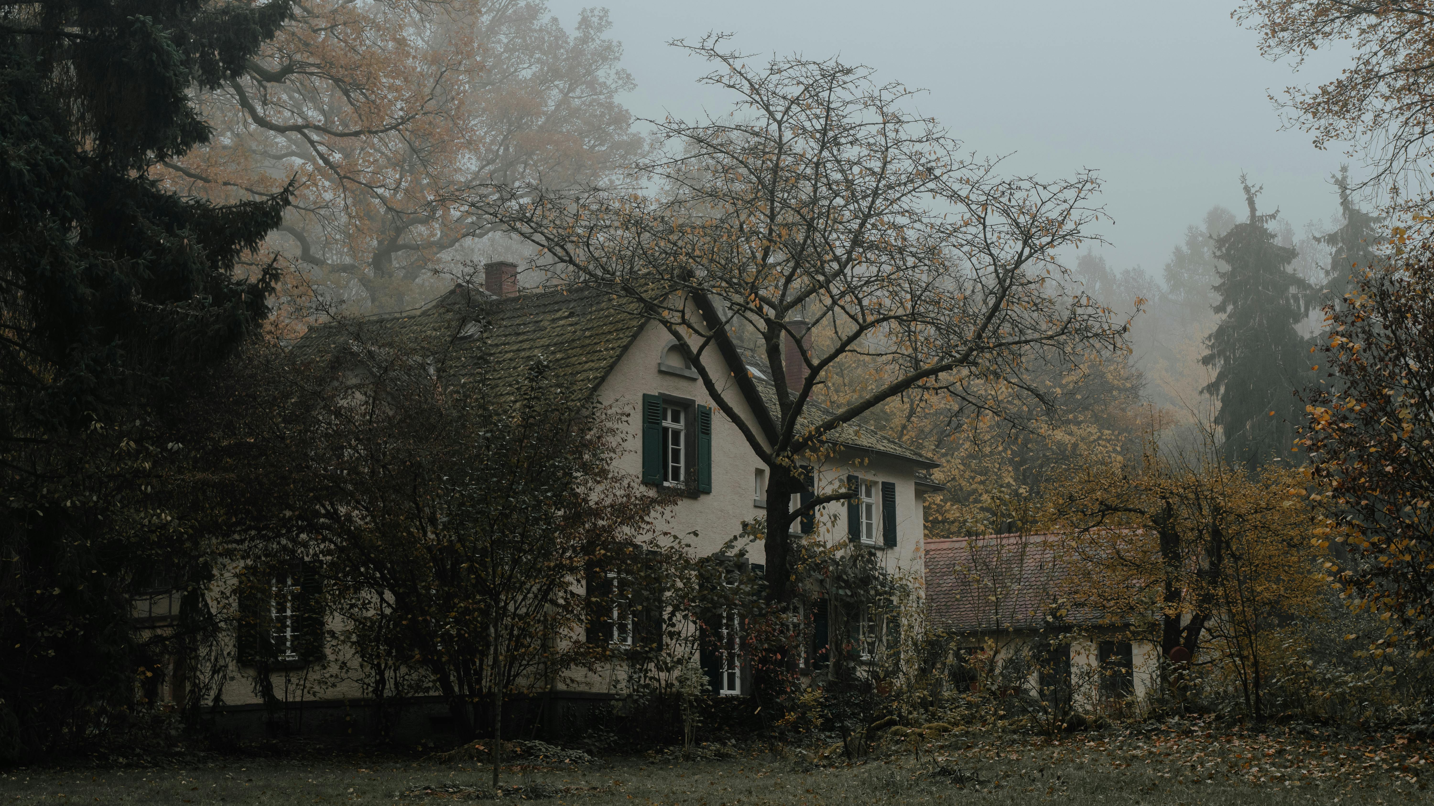 The Energy Vampires Haunting Your Home — Photo by Luca Dross on Pexels