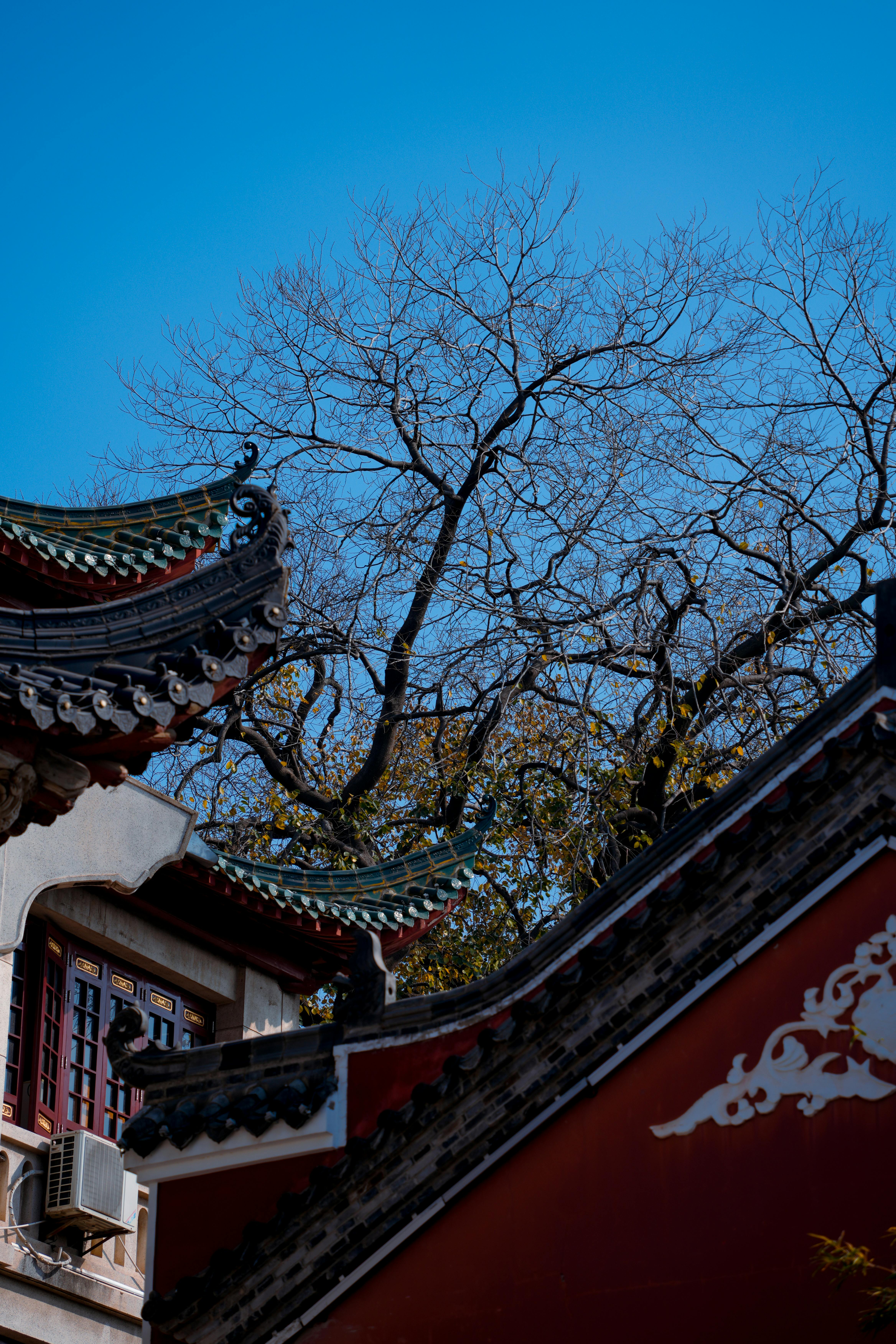 Elegant traditional Asian roof against vibrant blue sky.