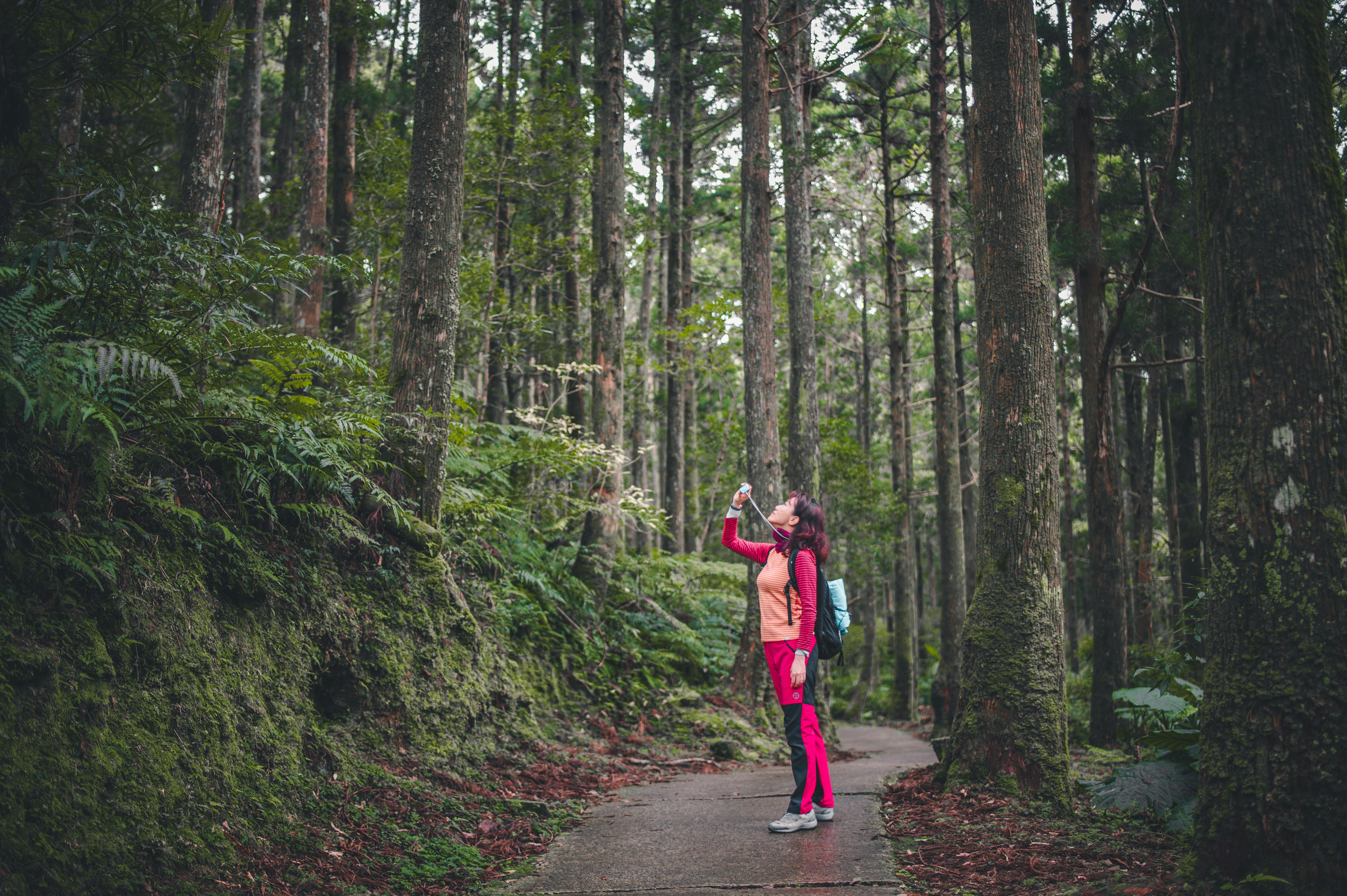 晨間山林與步道