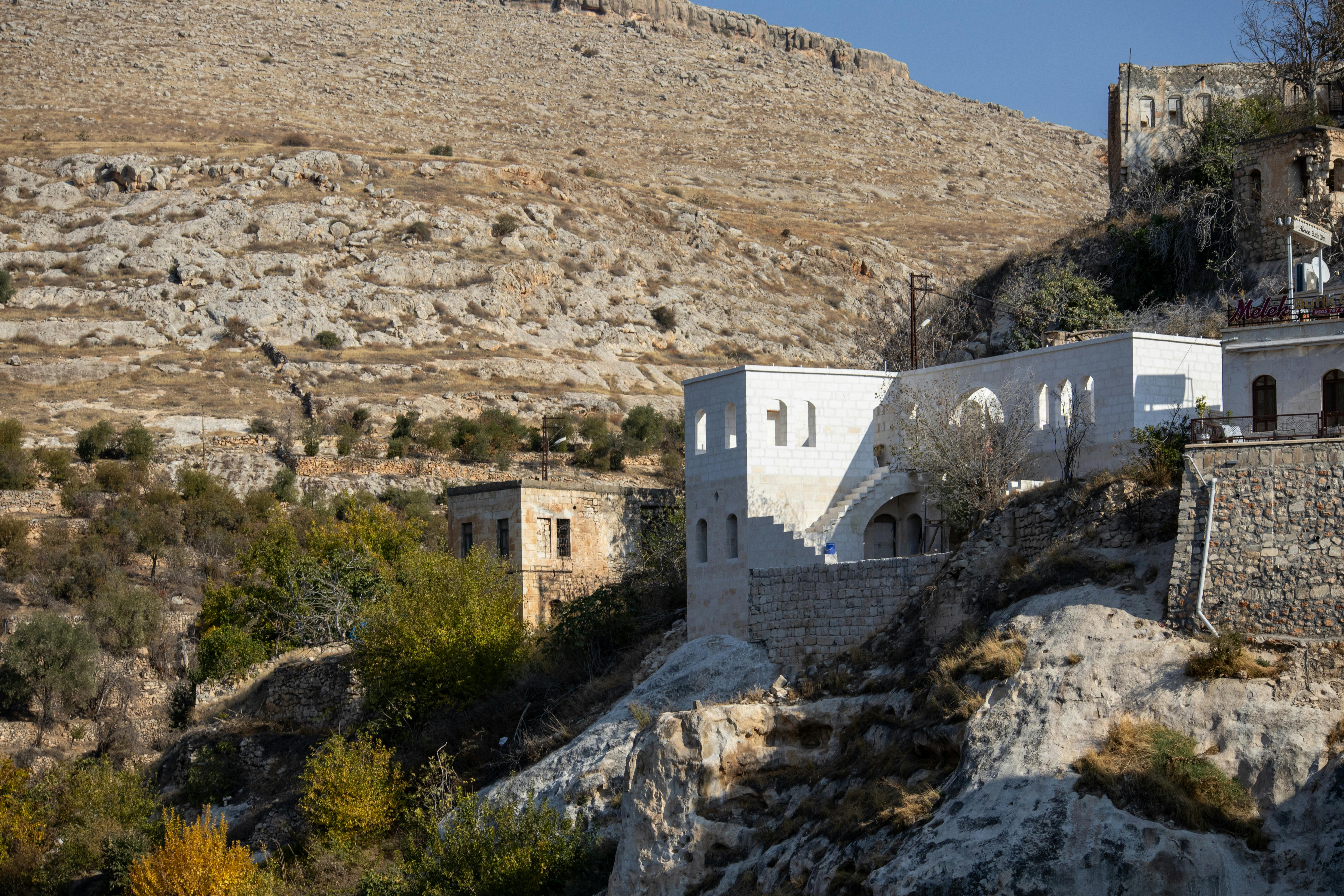 國際：全球多國聚焦氣候變遷峰會，推動綠色能源轉型新策略