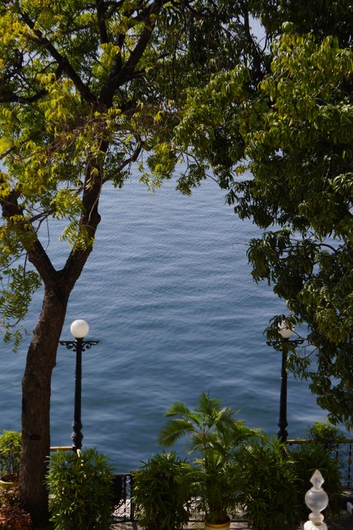 Free Tranquil view of Lake Pichola through lush trees in Udaipur, Rajasthan, India. Stock Photo