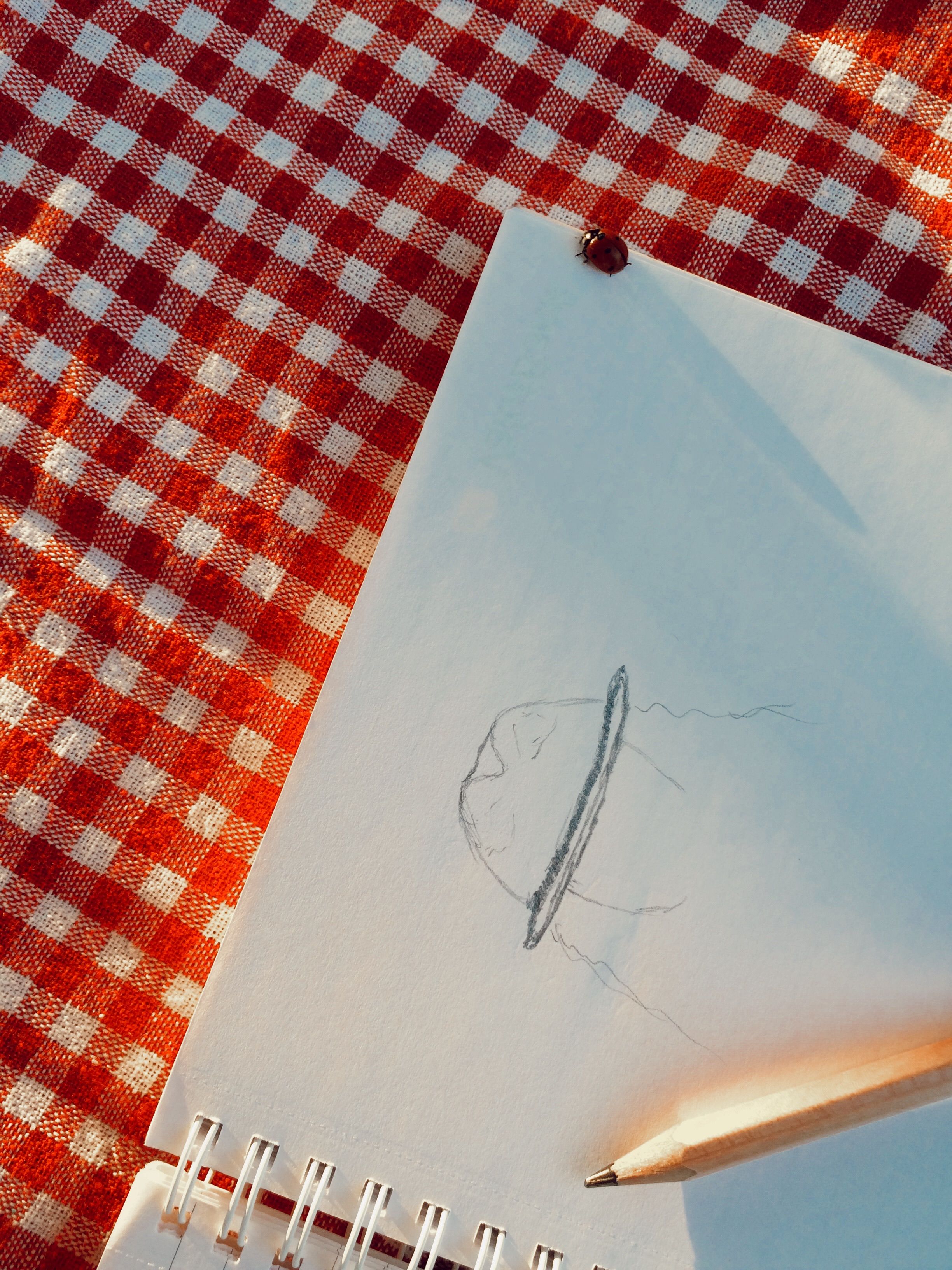 Sketchbook with Pencil on Checkered Tablecloth · Free Stock Photo