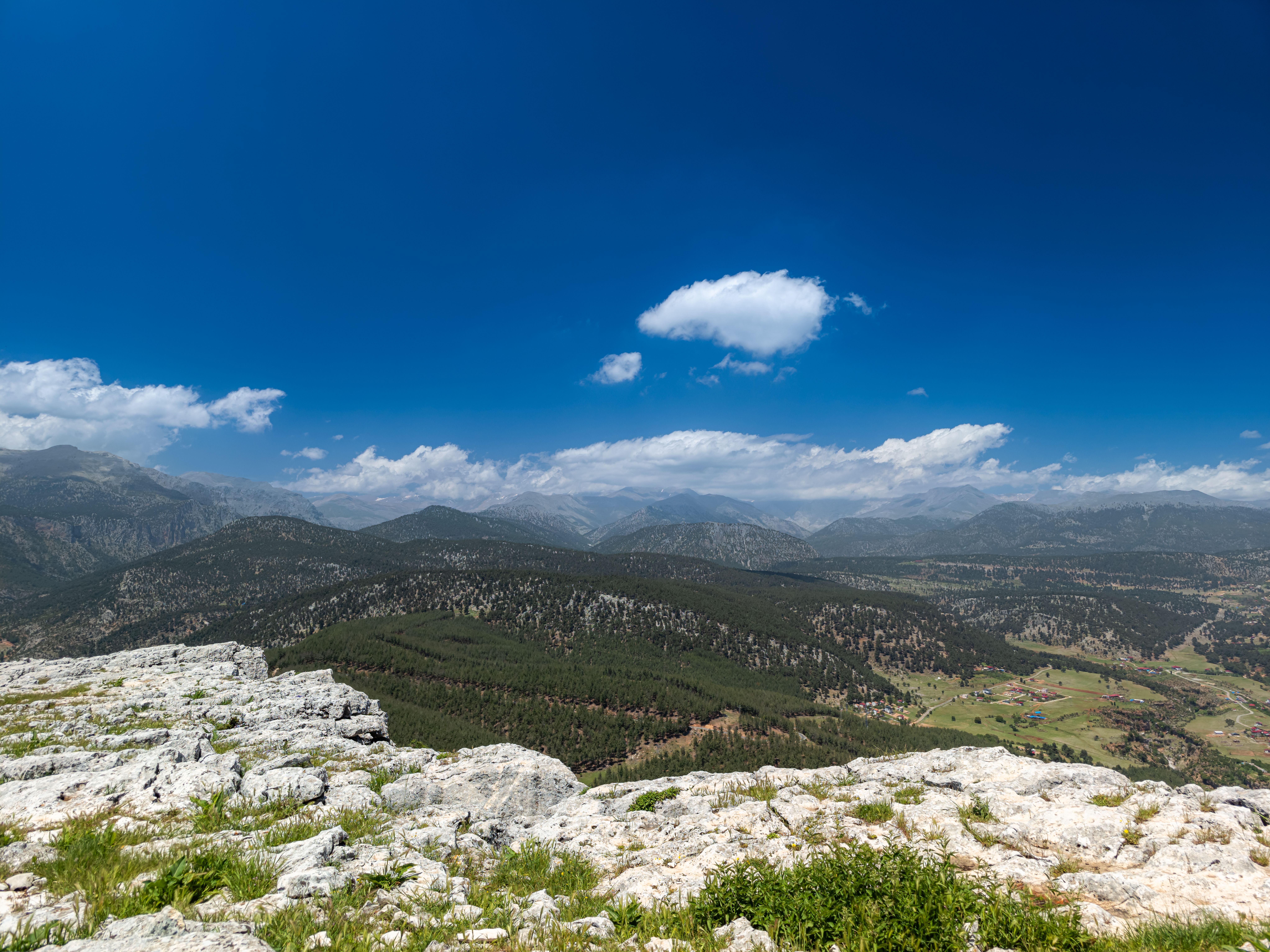 Turkey