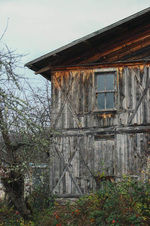 Free A rustic wooden barn featuring weathered texture and surrounded by autumn foliage, evokes a nostalgic rural vibe. Stock Photo
