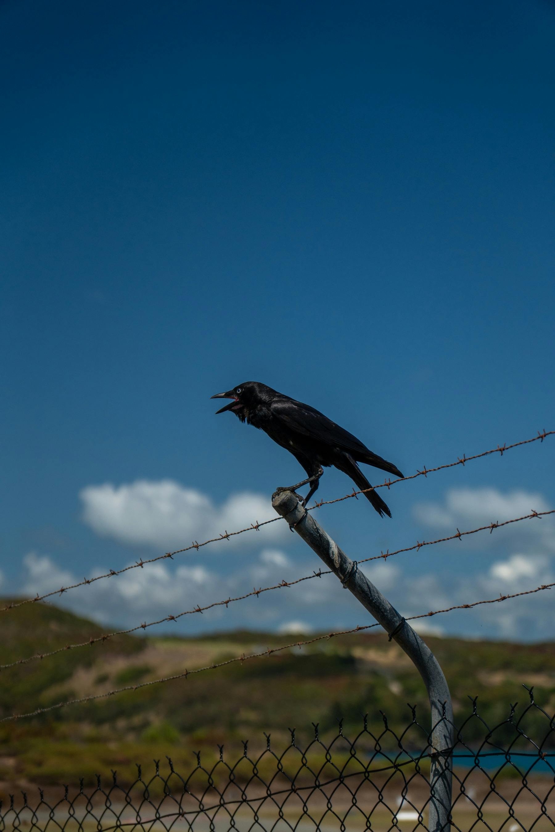 The Psychology Of Singing