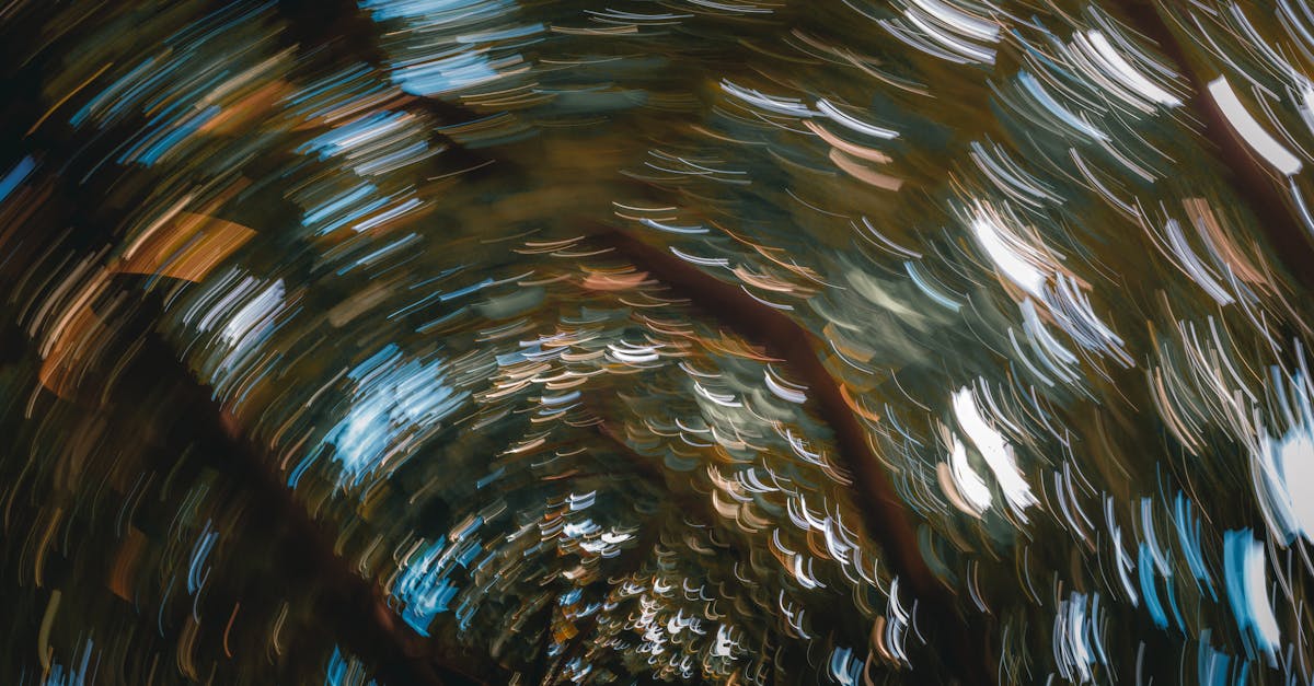 蔡英文突撂重話護綠能 藍營青年警告勿放棄政治遺產