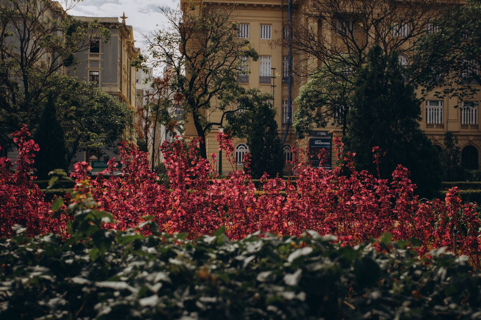 pexels photo 35087638