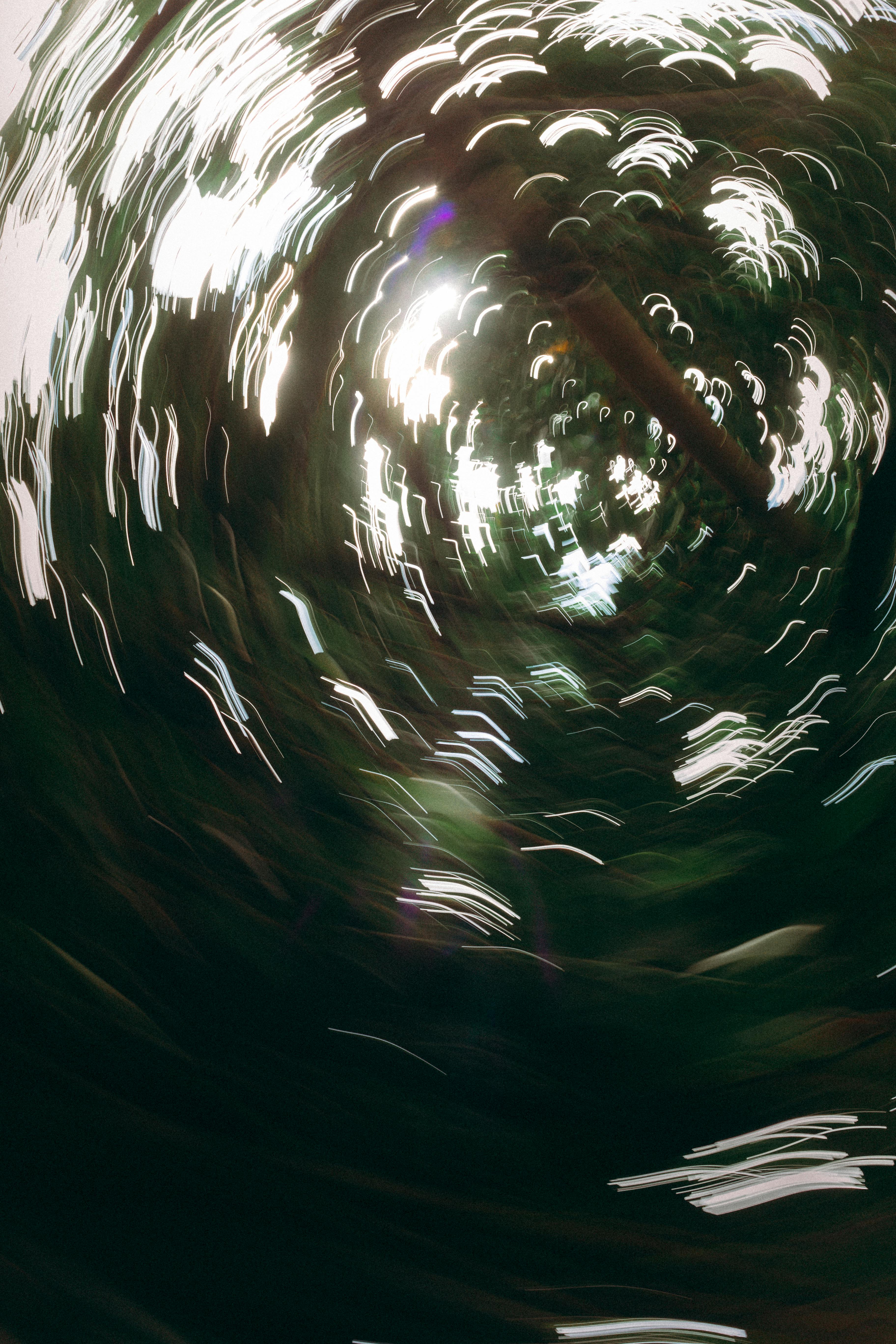 Gratuit Un flou de mouvement abstrait et vertigineux capture la canopée tourbillonnante d'une forêt dense. Photos